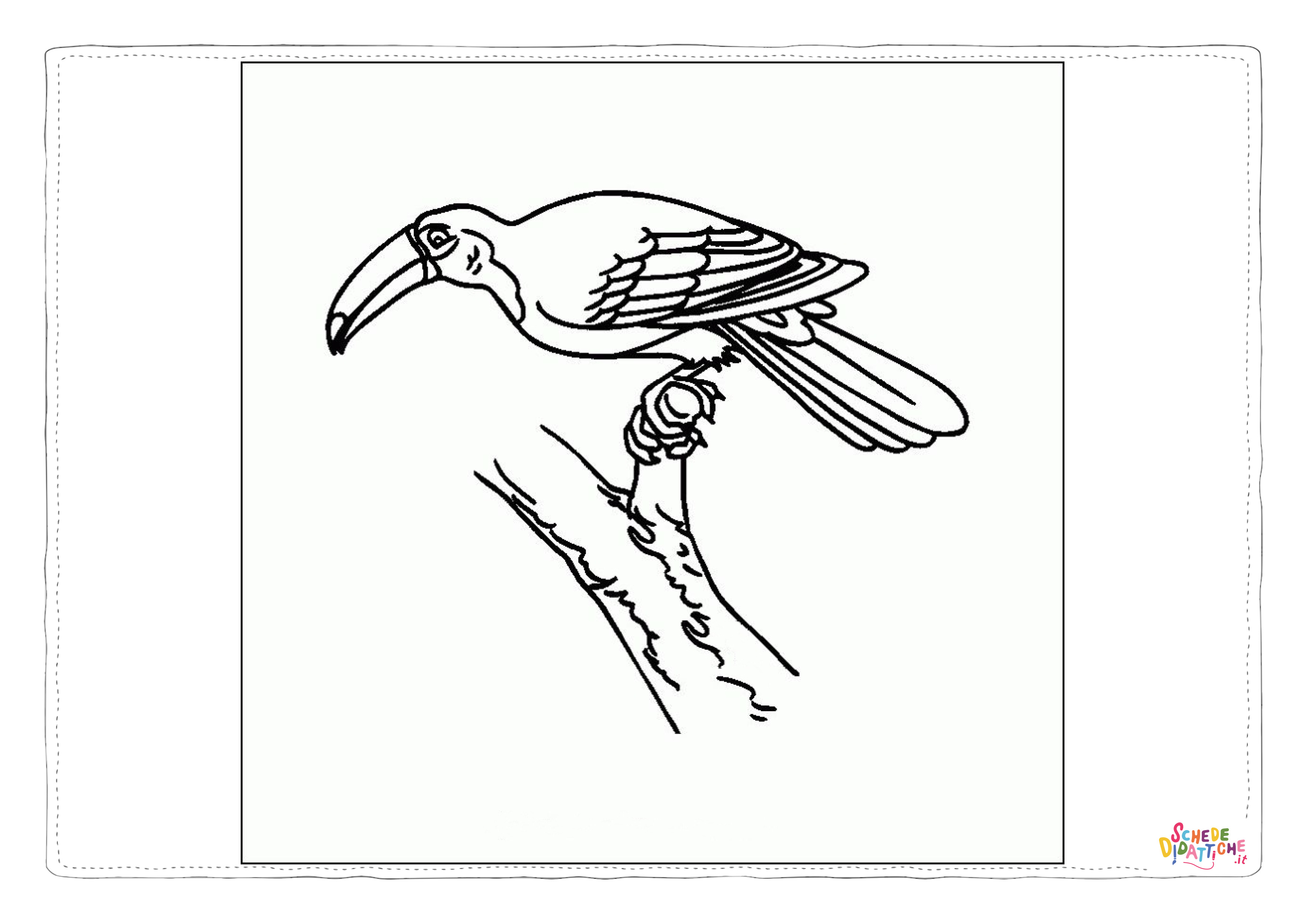 Disegno "Disegno di tucano da stampare e colorare 5" Disegno di tucano da stampare e colorare 5