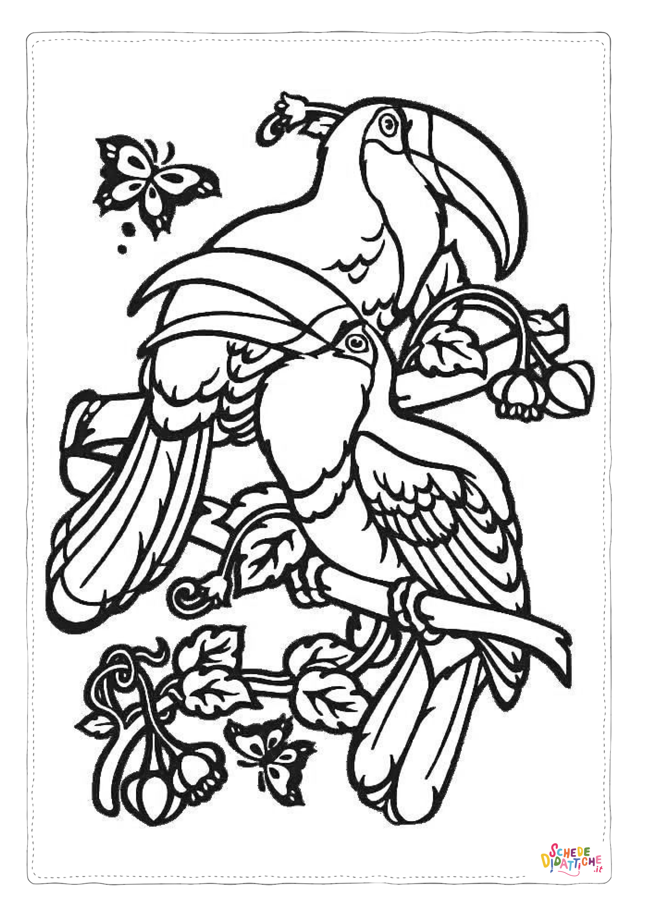 Disegno "Disegno di tucano da stampare e colorare 20" Disegno di tucano da stampare e colorare 20