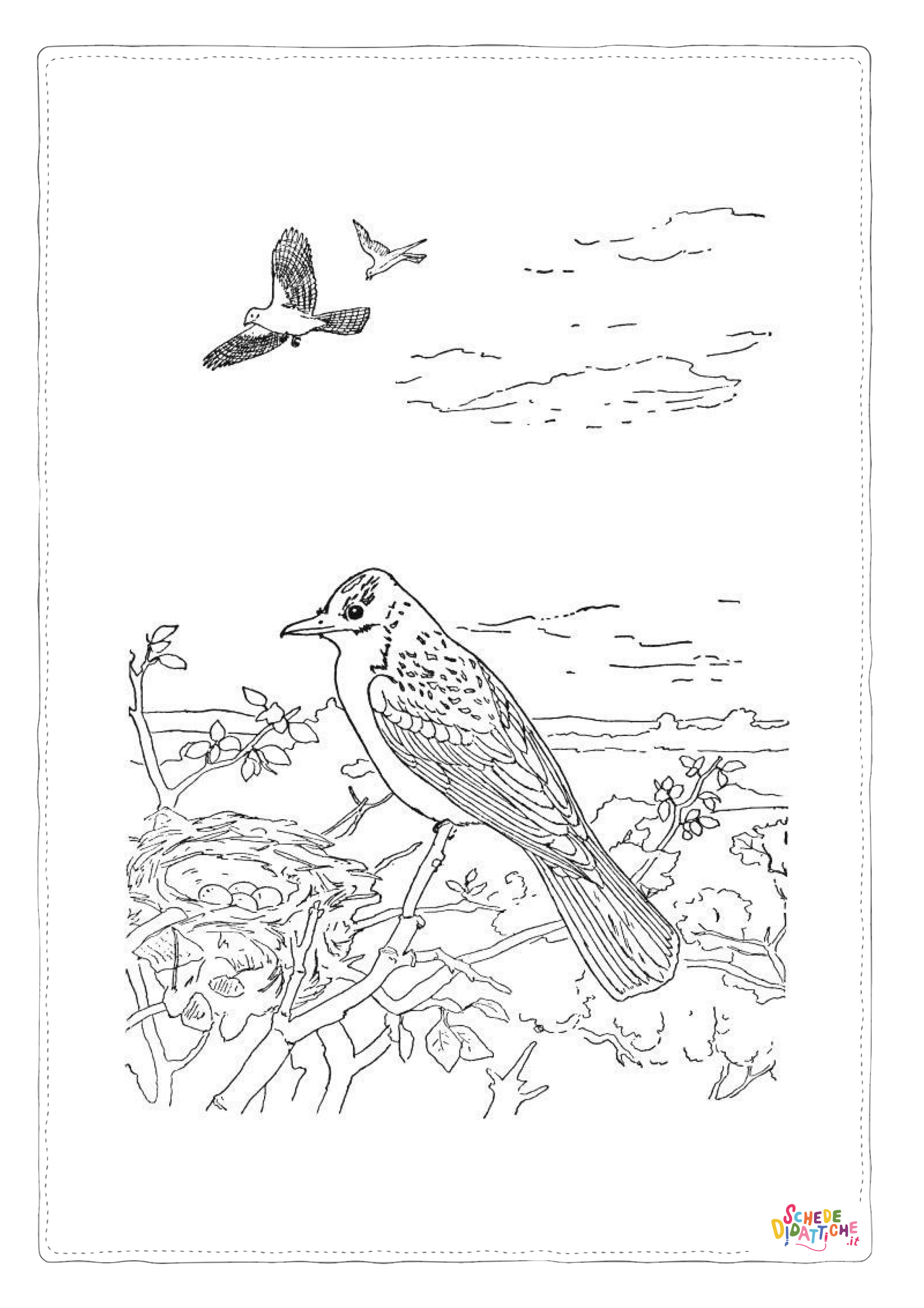 Disegno "Disegno di uccello da stampare e colorare 74" Disegno di uccello da stampare e colorare 74