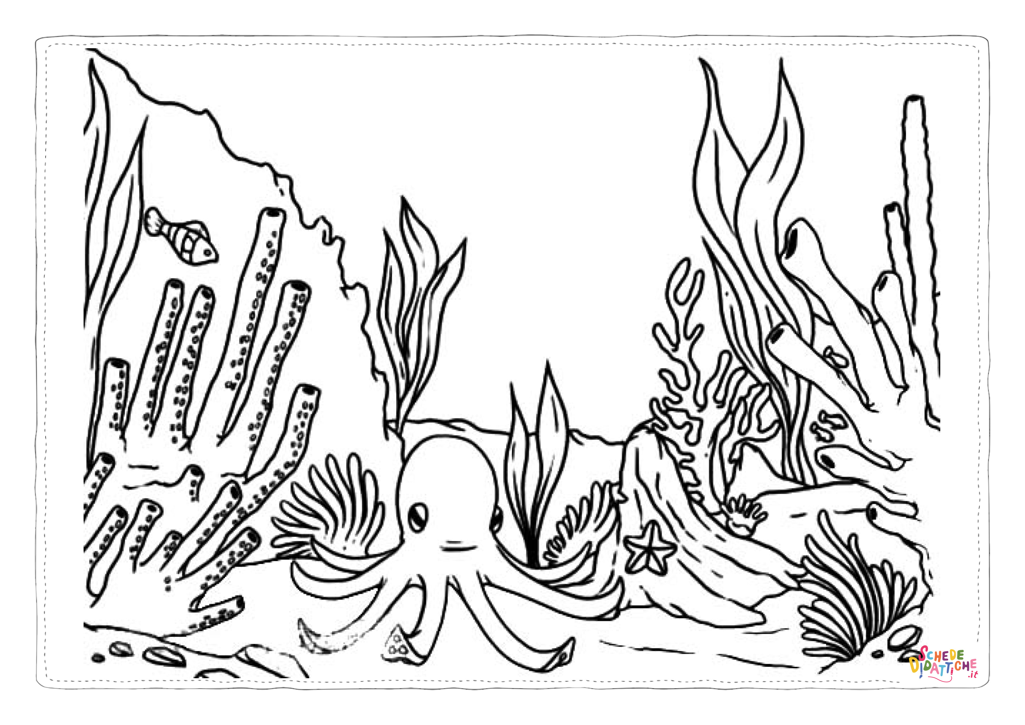 Disegno di polpo da stampare e colorare 37