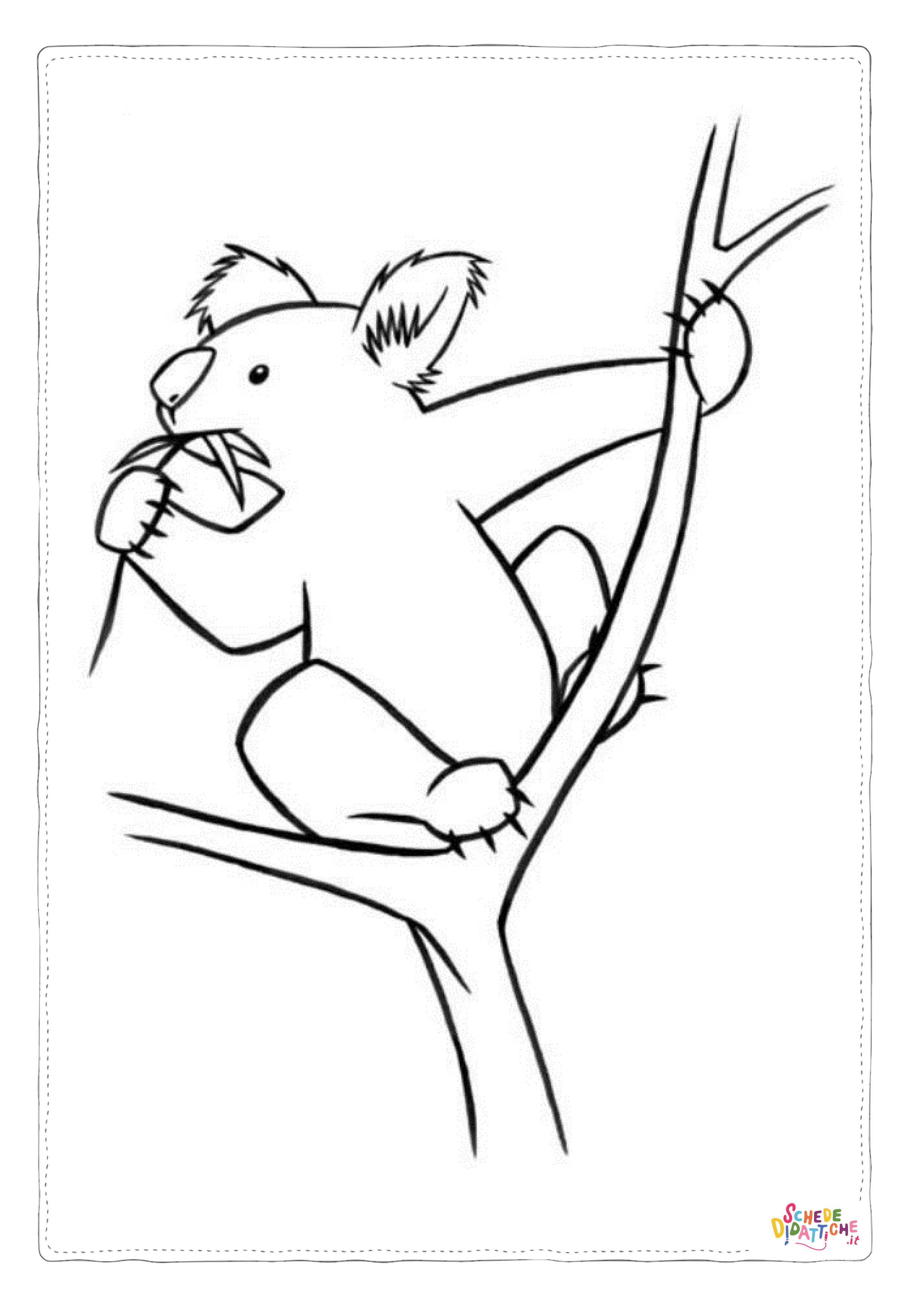 Disegno di koala da stampare e colorare 16