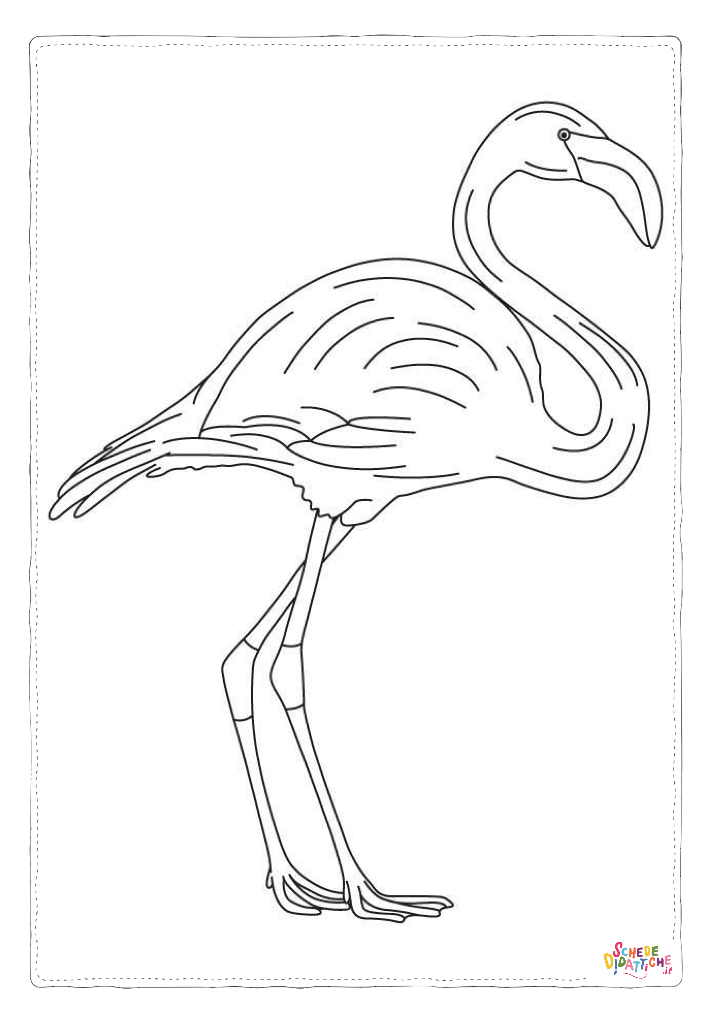 Disegno di fenicottero da stampare e colorare 21