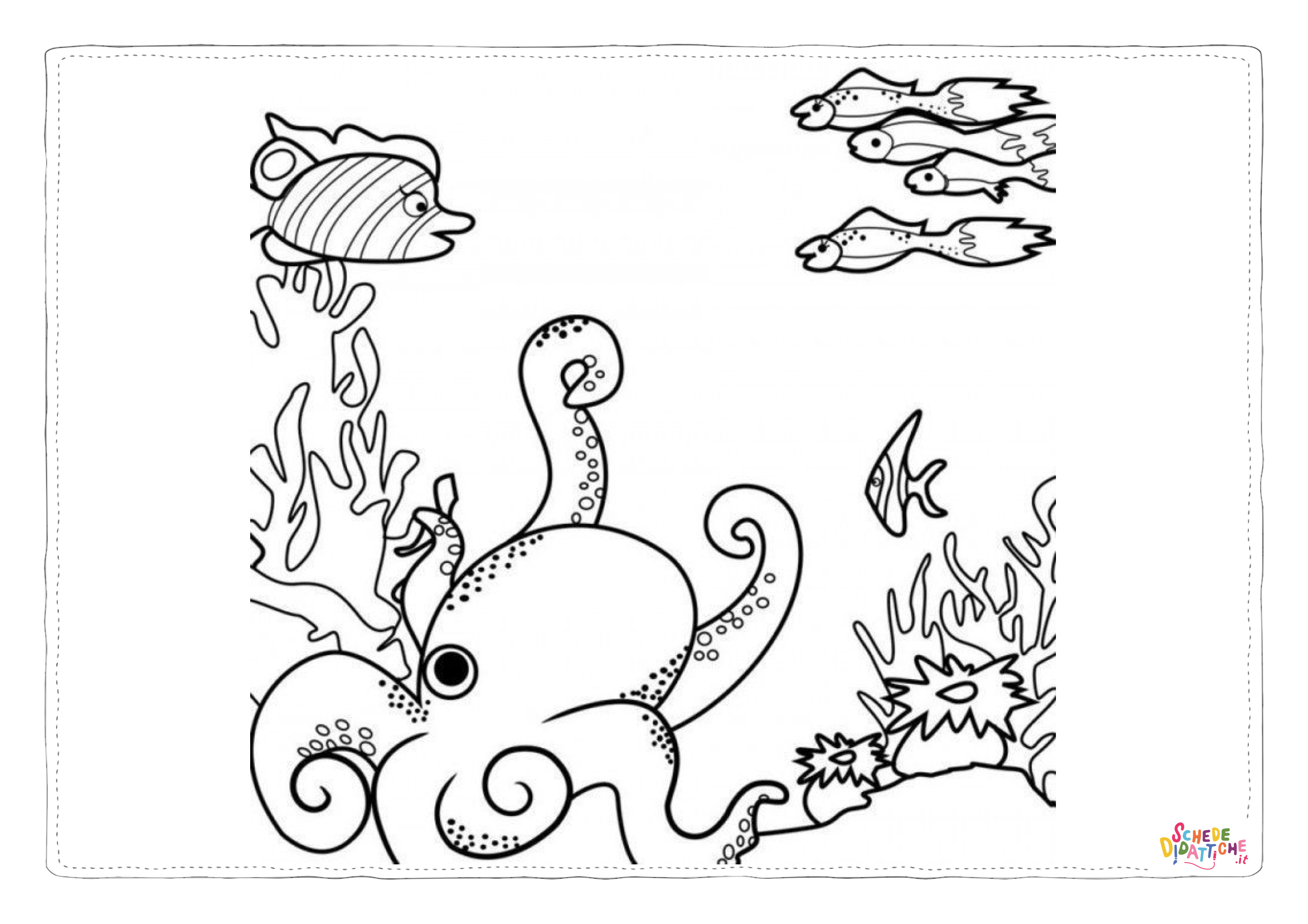 Disegno "Disegno di polpo da stampare e colorare 42" Disegno di polpo da stampare e colorare 42