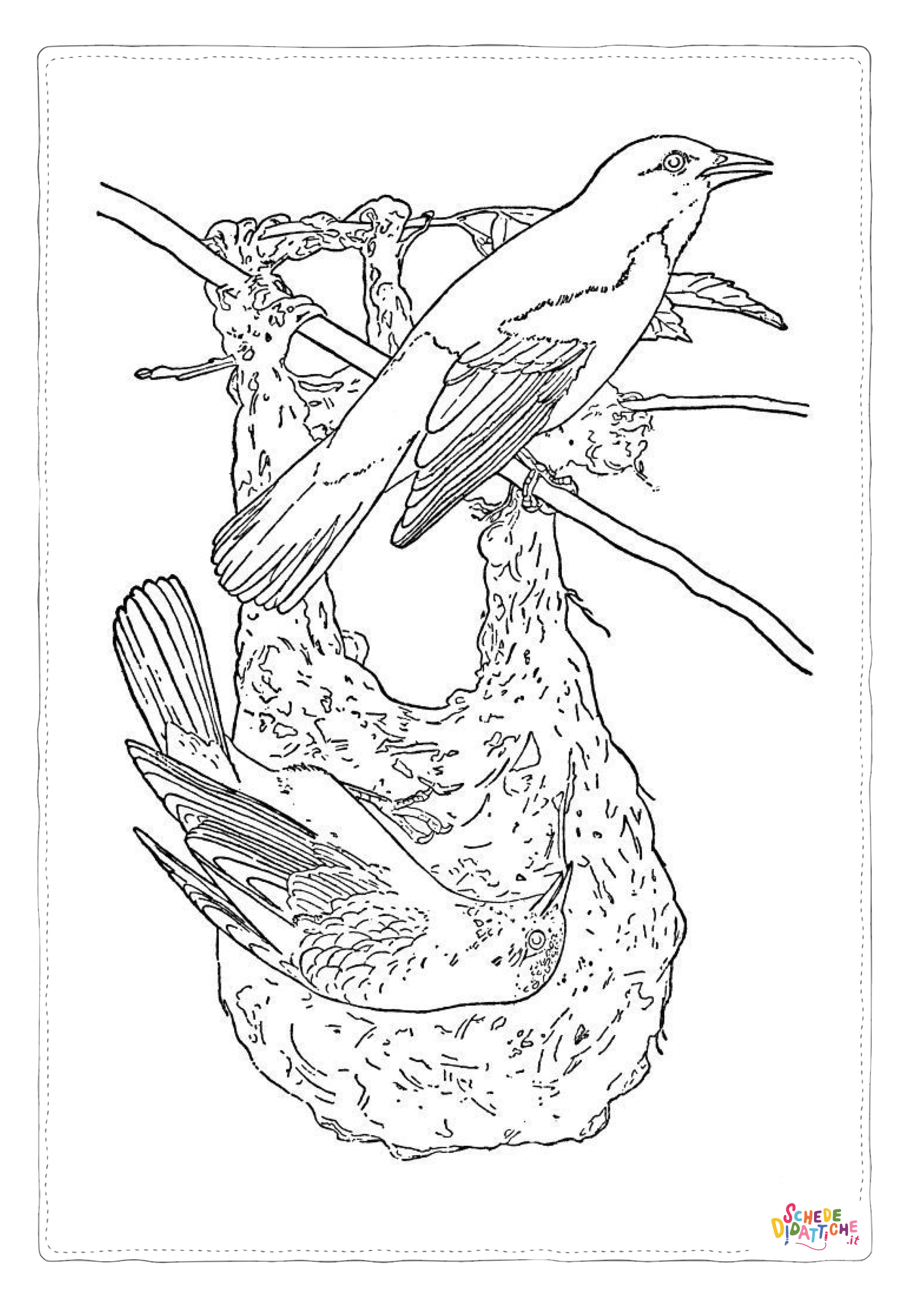 Disegno "Disegno di passero da stampare e colorare 58" Disegno di passero da stampare e colorare 58