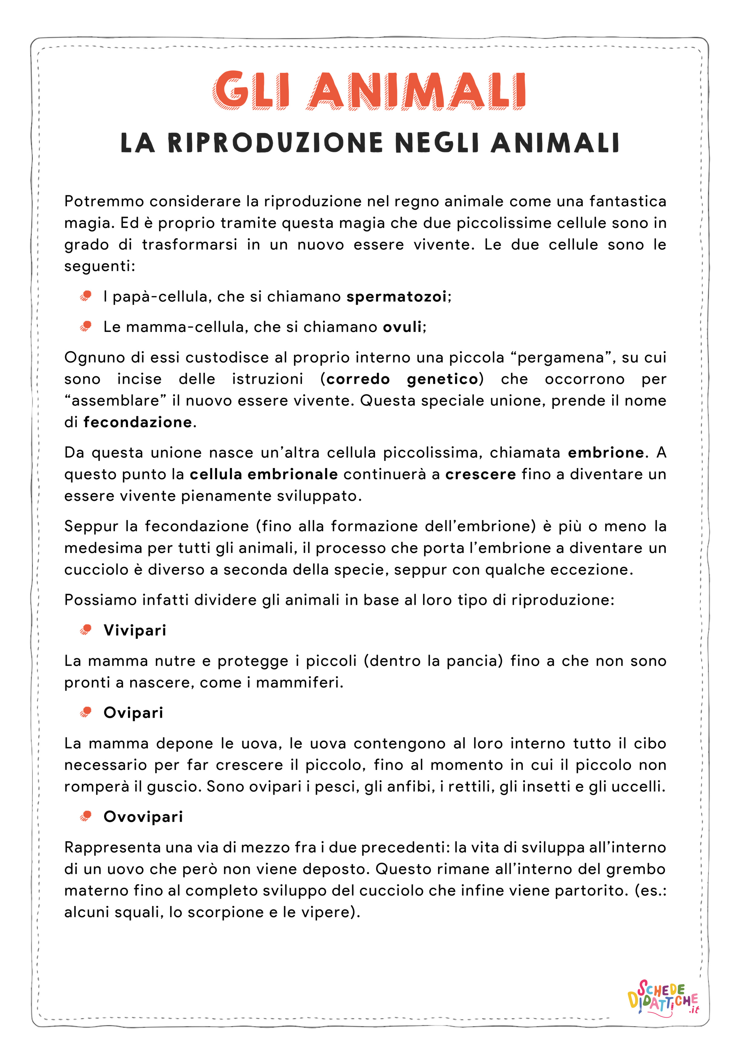 Disegno "La riproduzione animale - ovipari, vivipari e ovovipari" La riproduzione animale - ovipari, vivipari e ovovipari