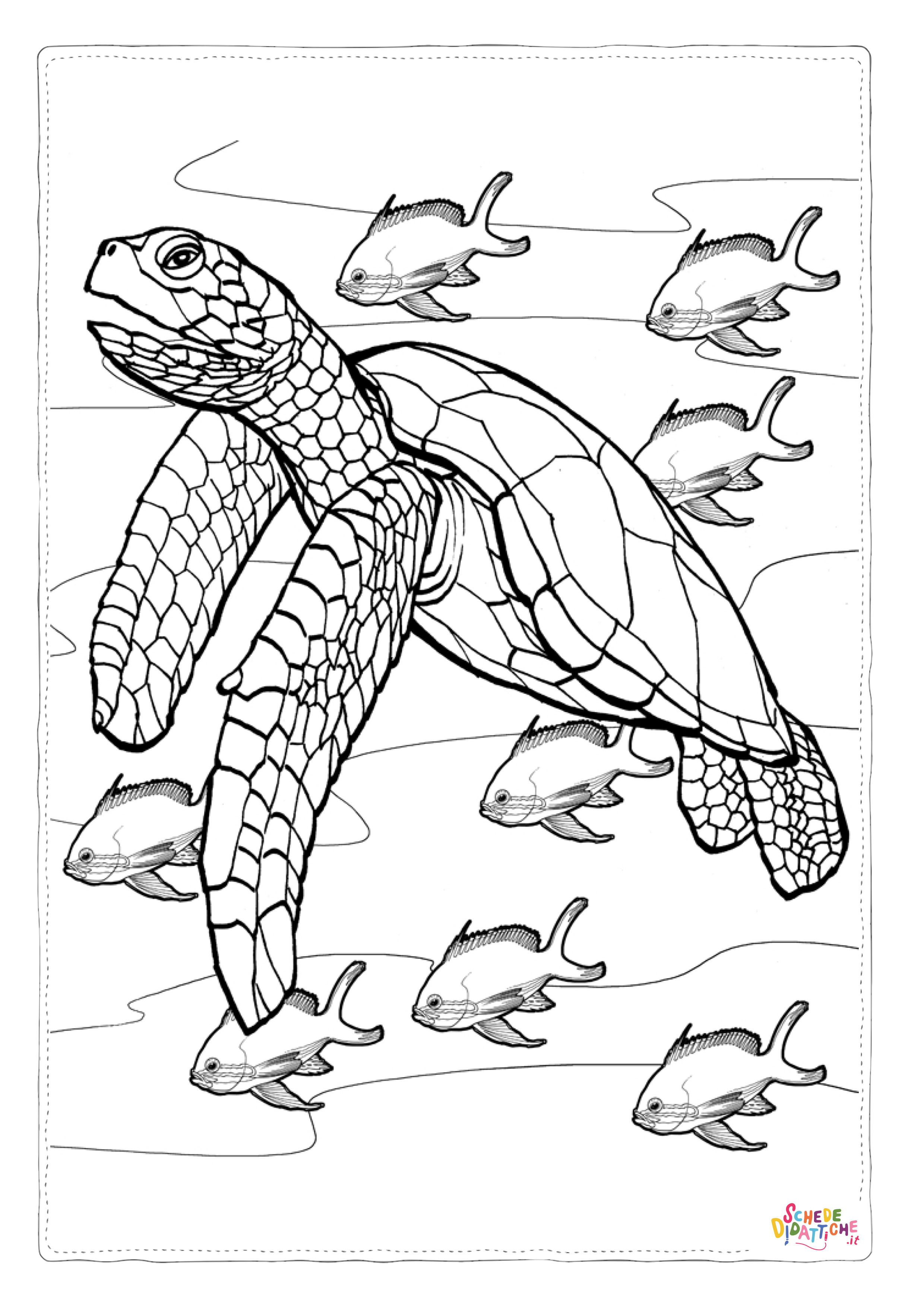 Disegno "Disegno di tartaruga di mare da stampare e colorare 12" Disegno di tartaruga di mare da stampare e colorare 12