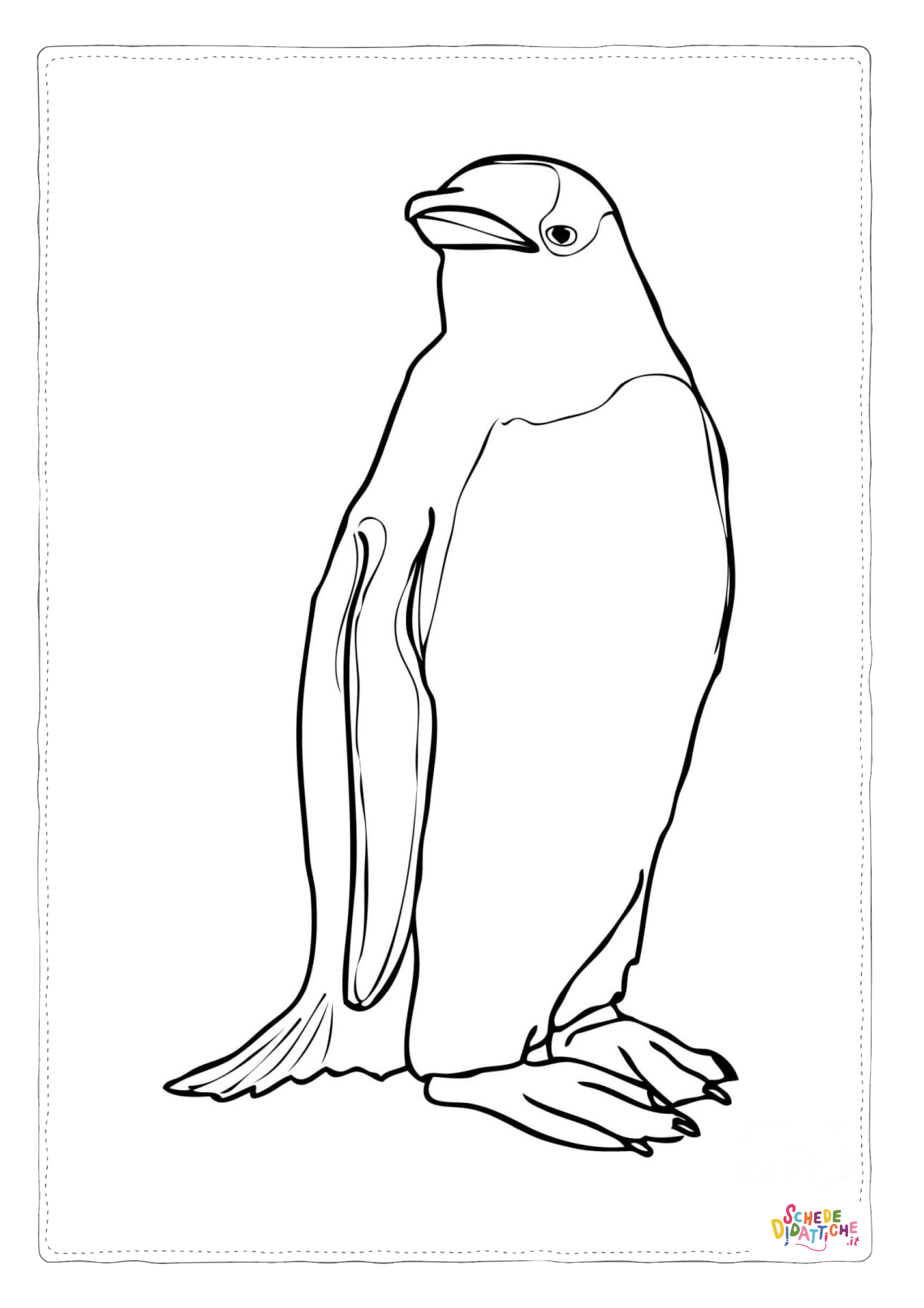 Disegno di pinguino da stampare e colorare 54