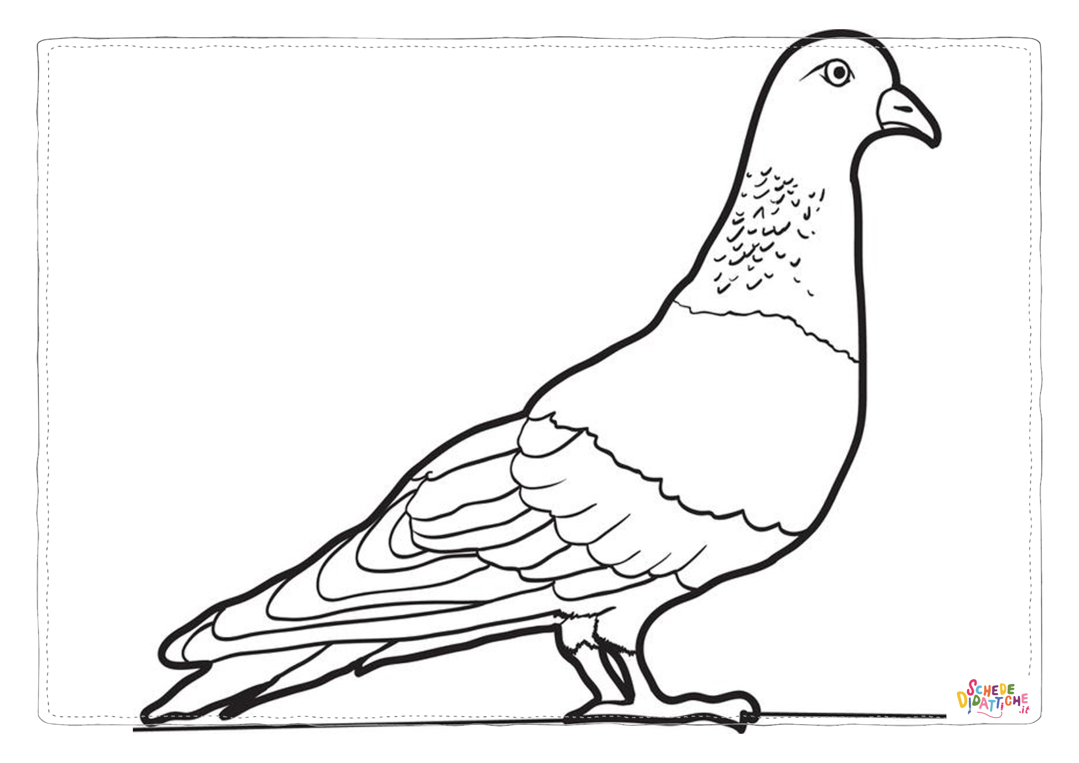 Disegno di colomba da stampare e colorare 17