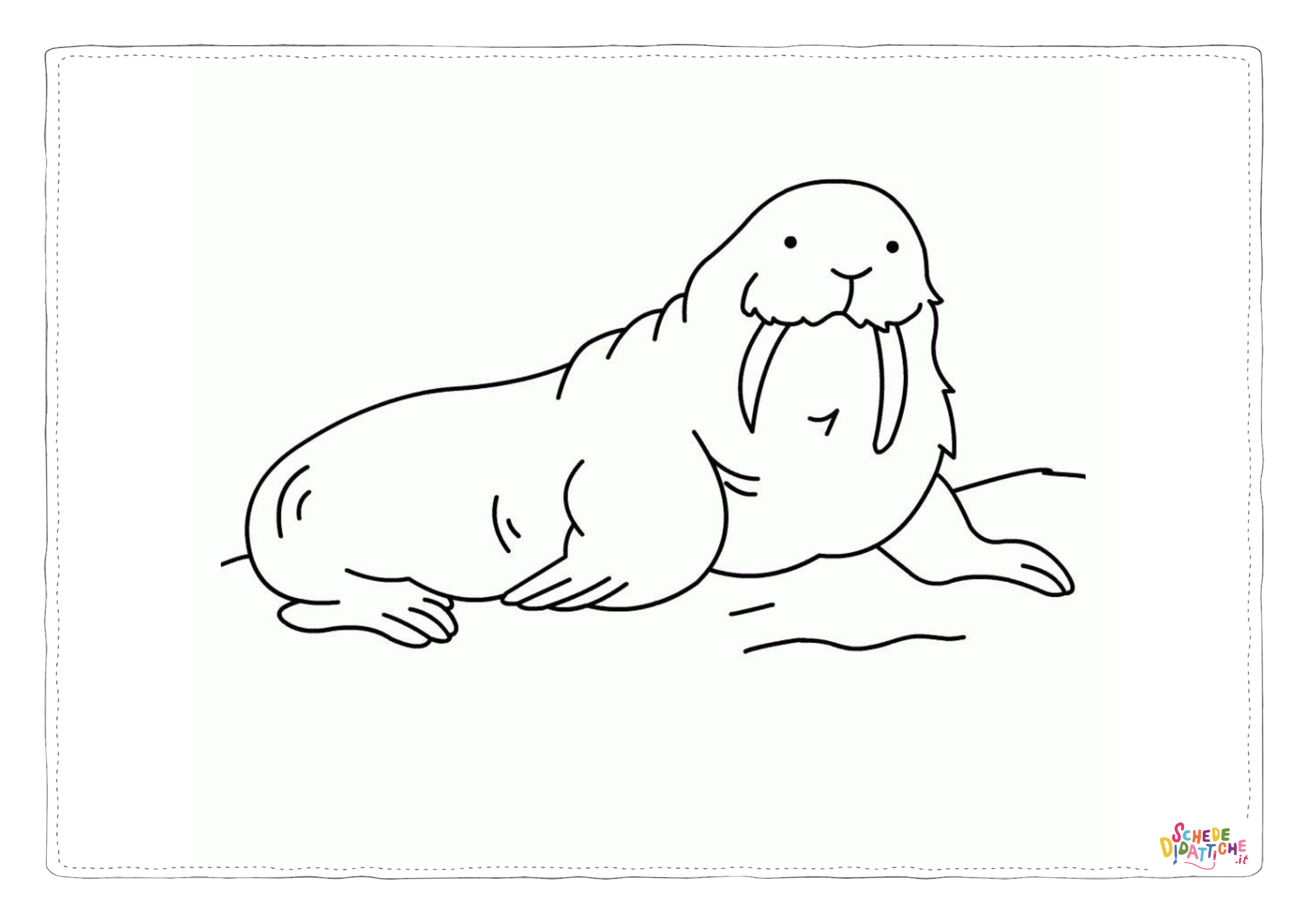 Disegno "Disegno di tricheco da stampare e colorare 8" Disegno di tricheco da stampare e colorare 8