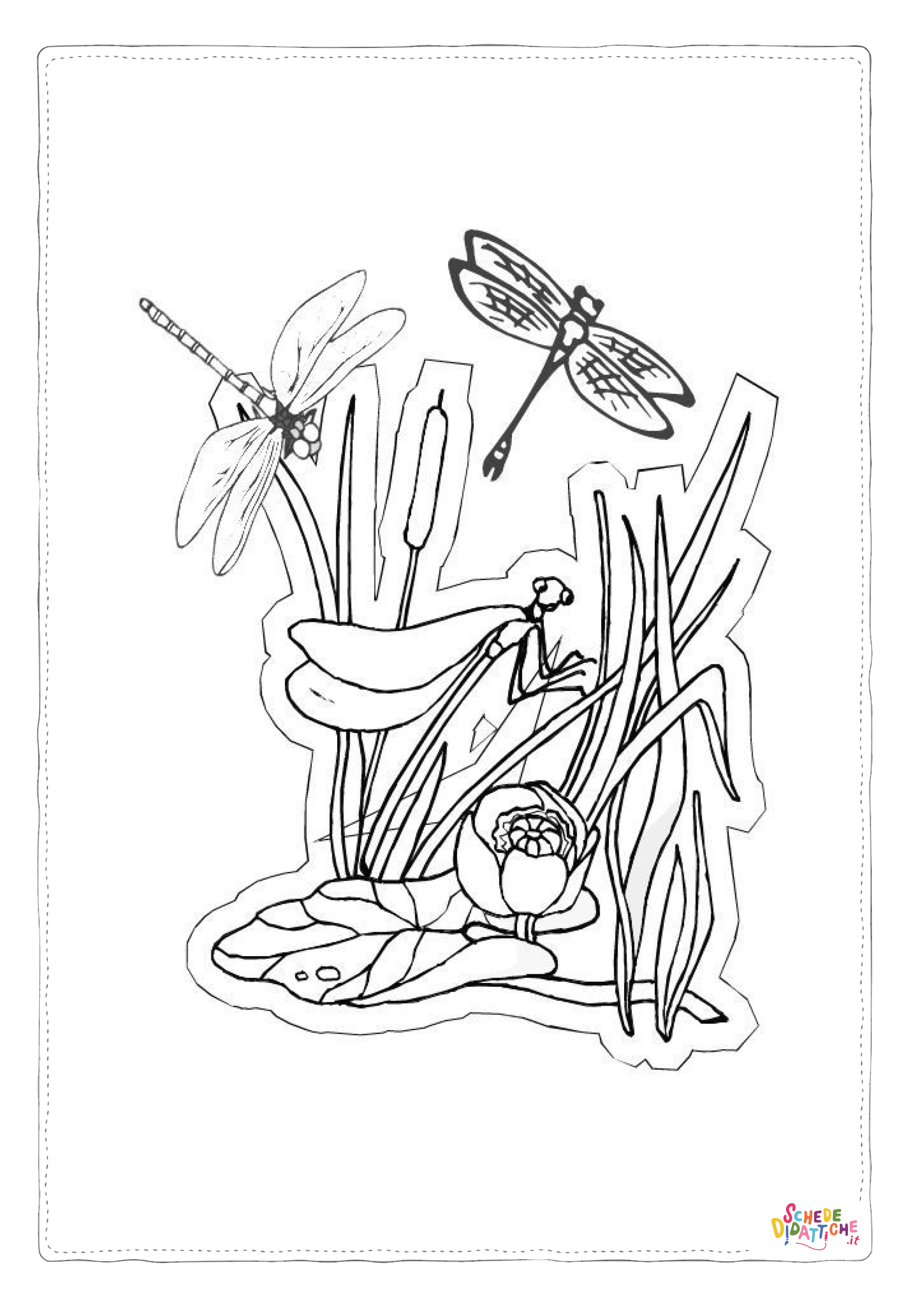 Disegno di libellula da stampare e colorare 42