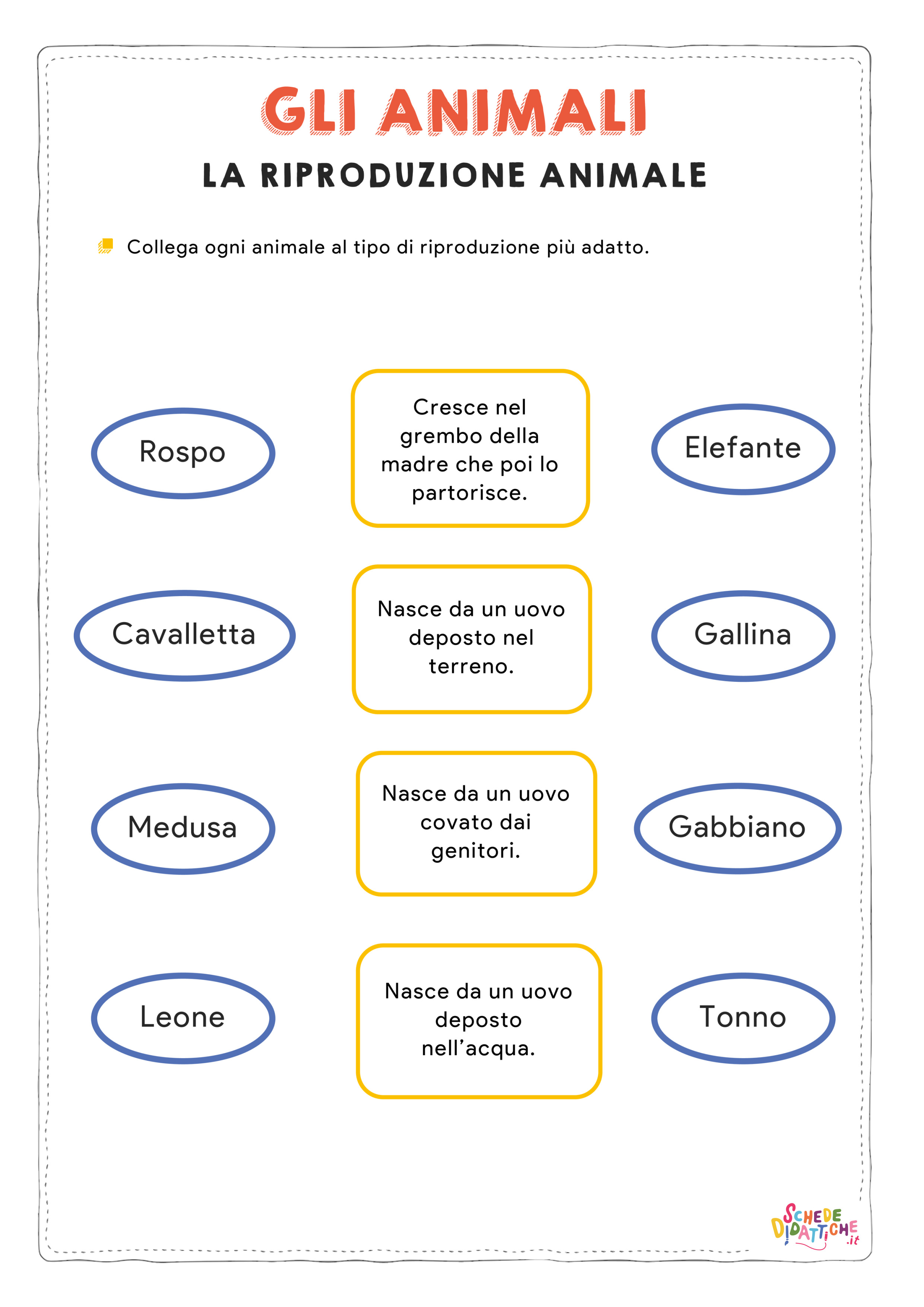 Disegno "La riproduzione animale - collega" La riproduzione animale - collega