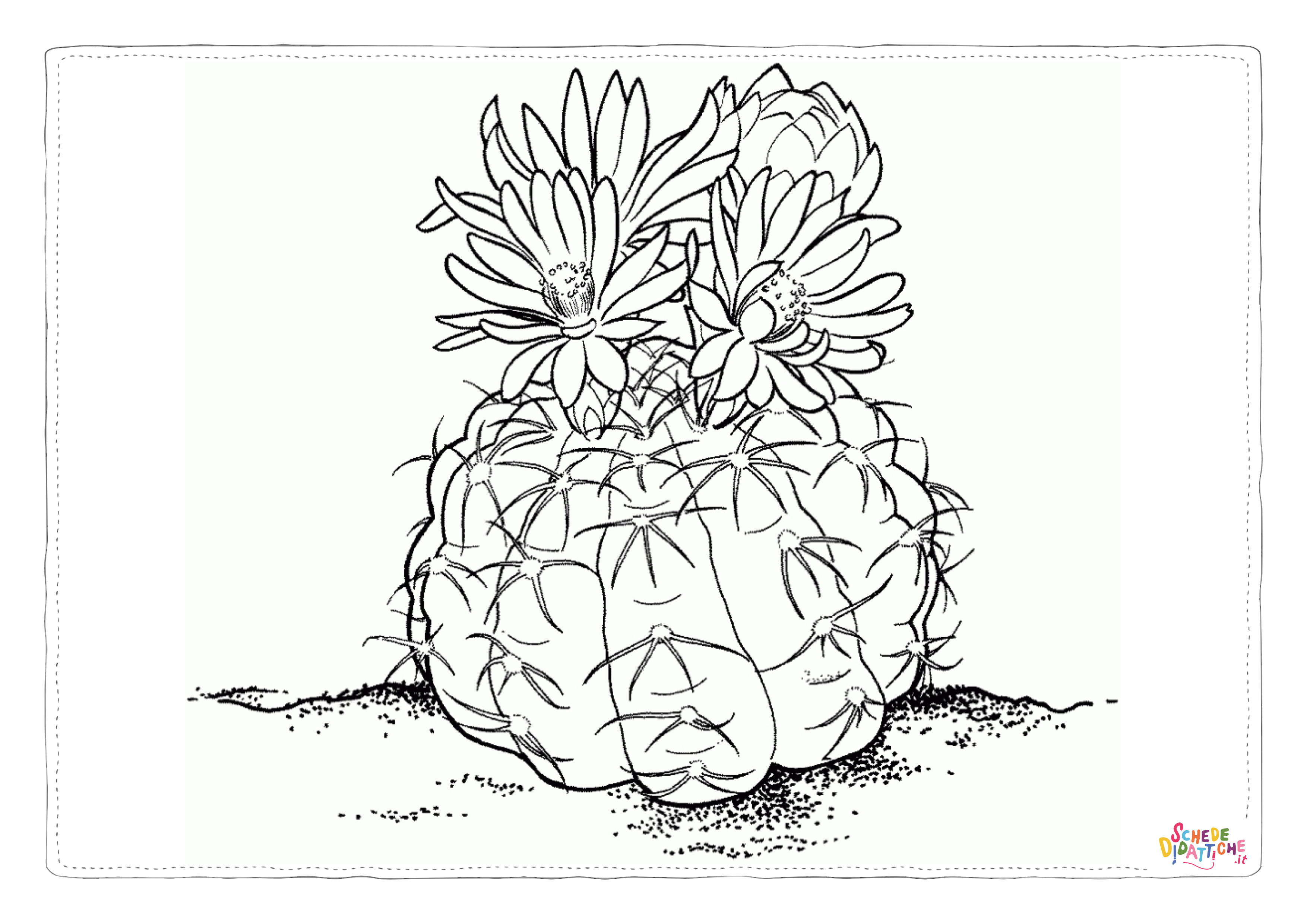 Disegno "Disegno di pianta da stampare e colorare 15" Disegno di pianta da stampare e colorare 15