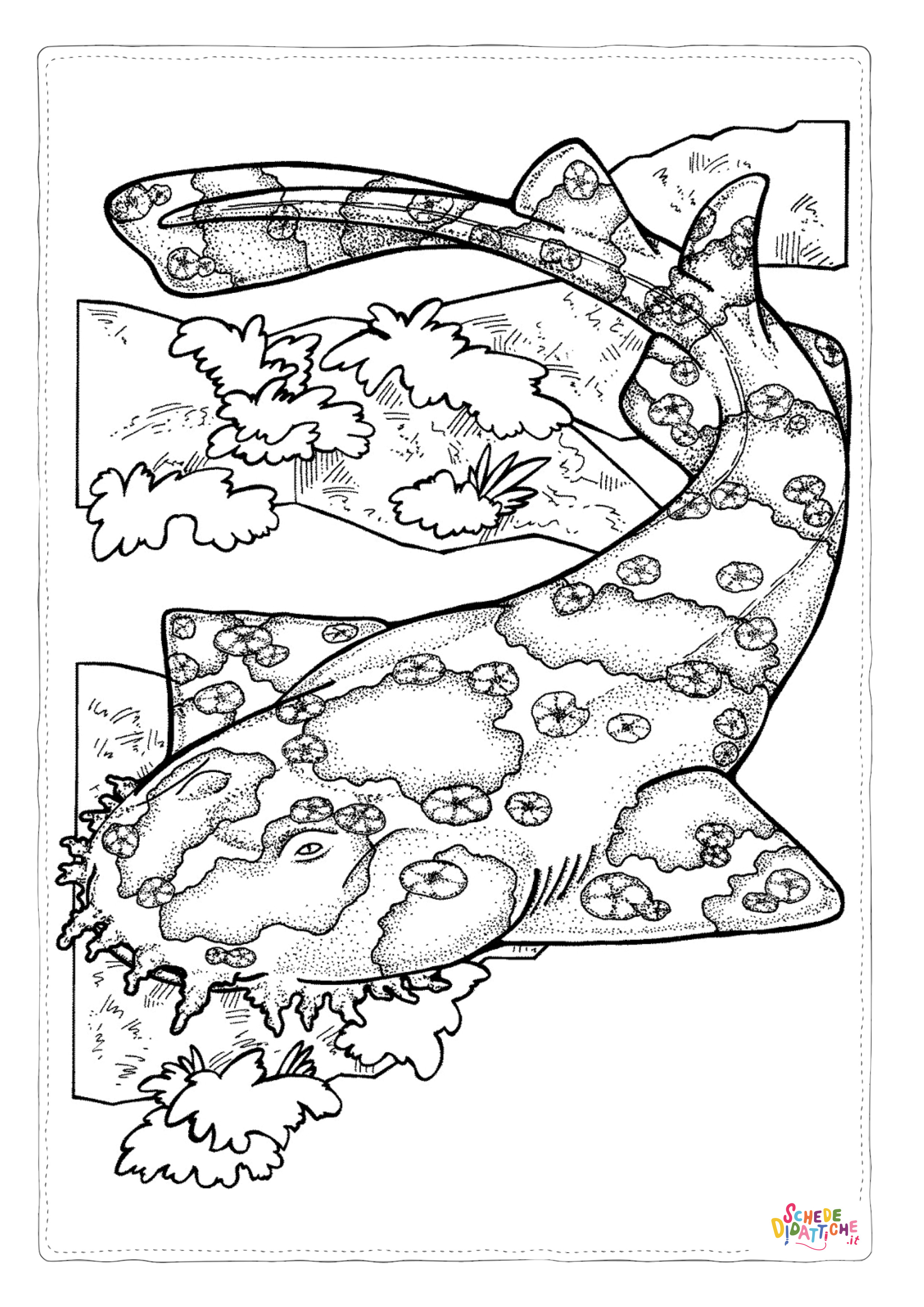 Disegno "Disegno di squalo da stampare e colorare 1" Disegno di squalo da stampare e colorare 1