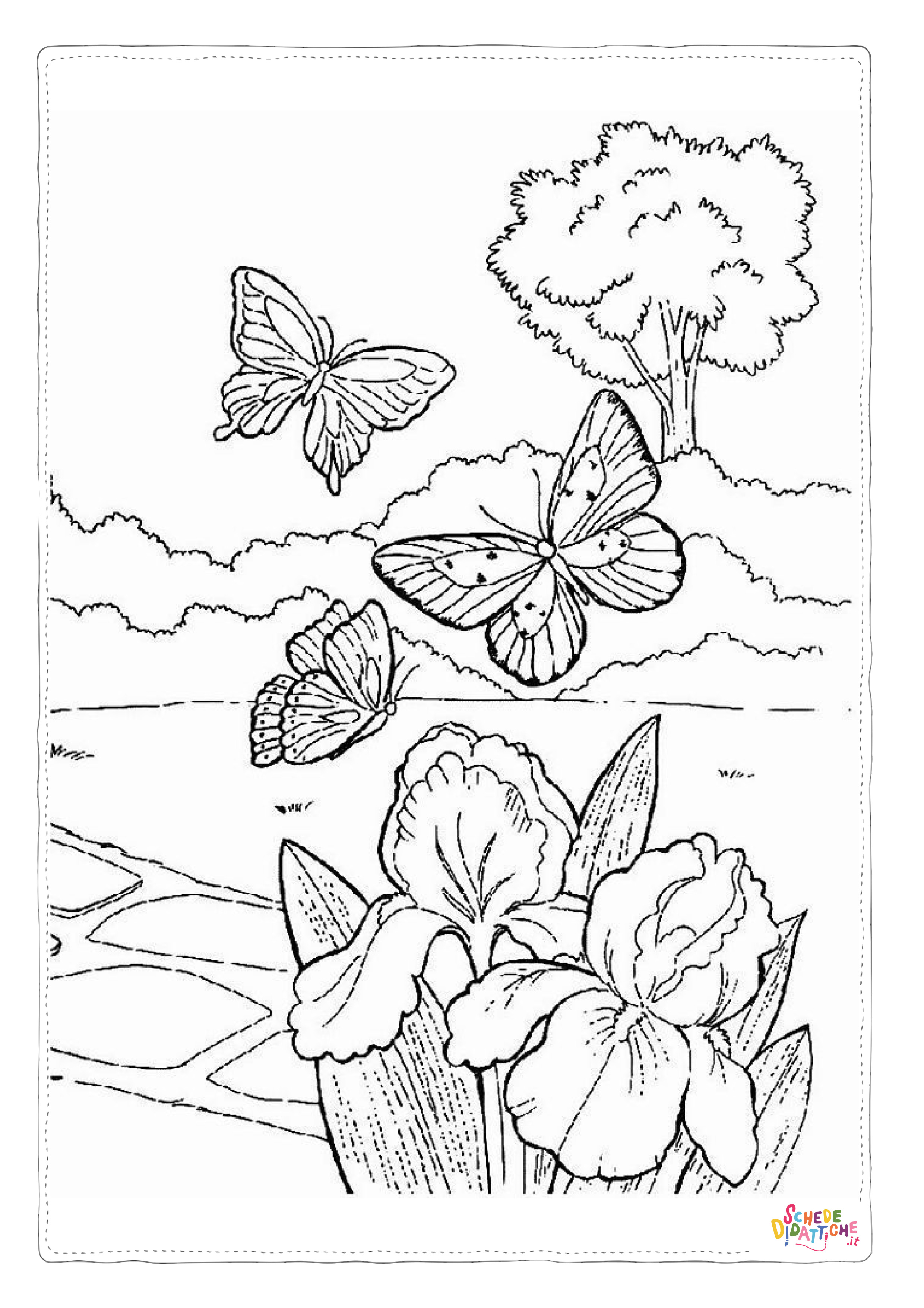 Disegno "Disegno di farfalla da stampare e colorare 33" Disegno di farfalla da stampare e colorare 33