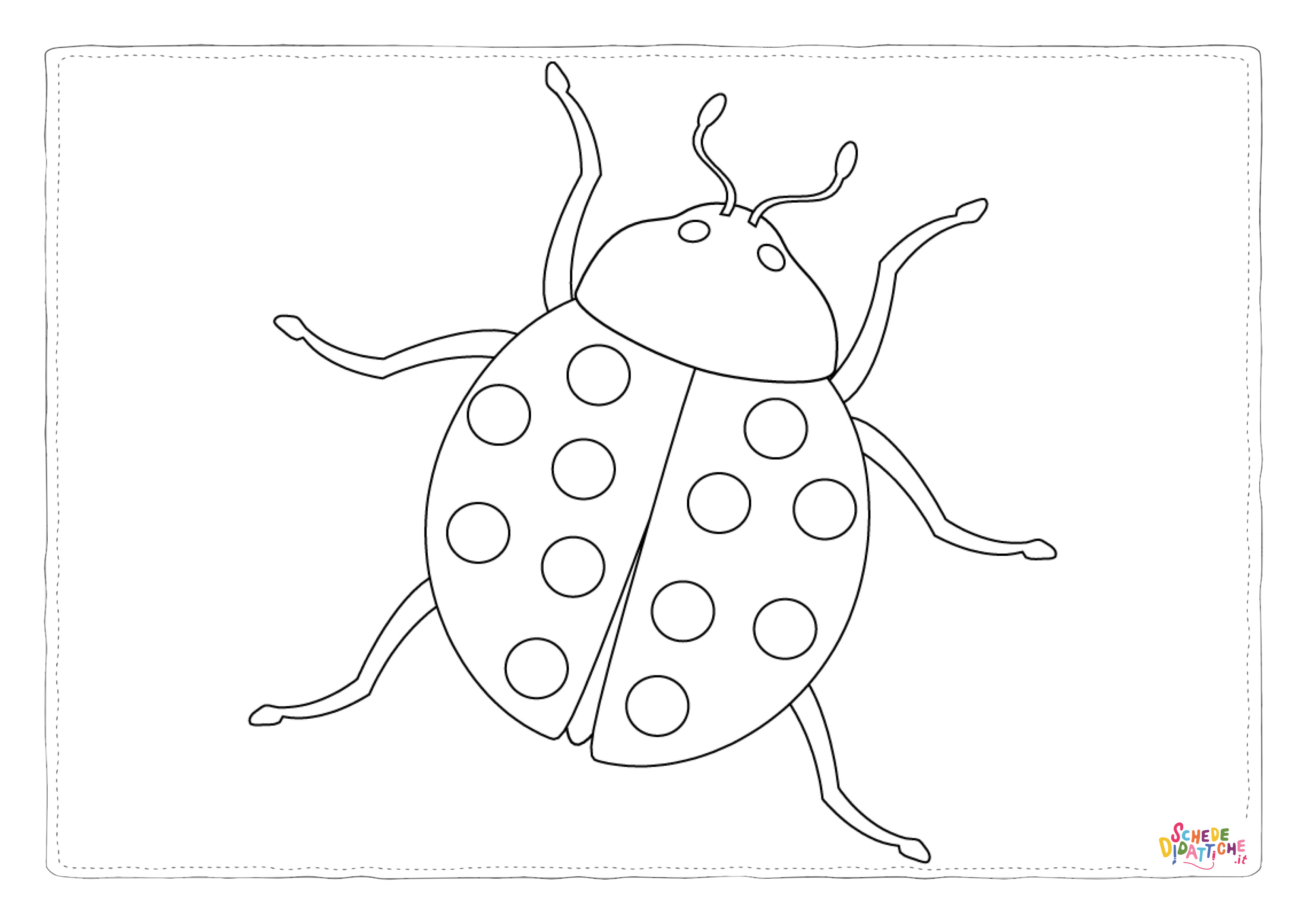 Disegno "Disegno di coccinella da stampare e colorare 11" Disegno di coccinella da stampare e colorare 11