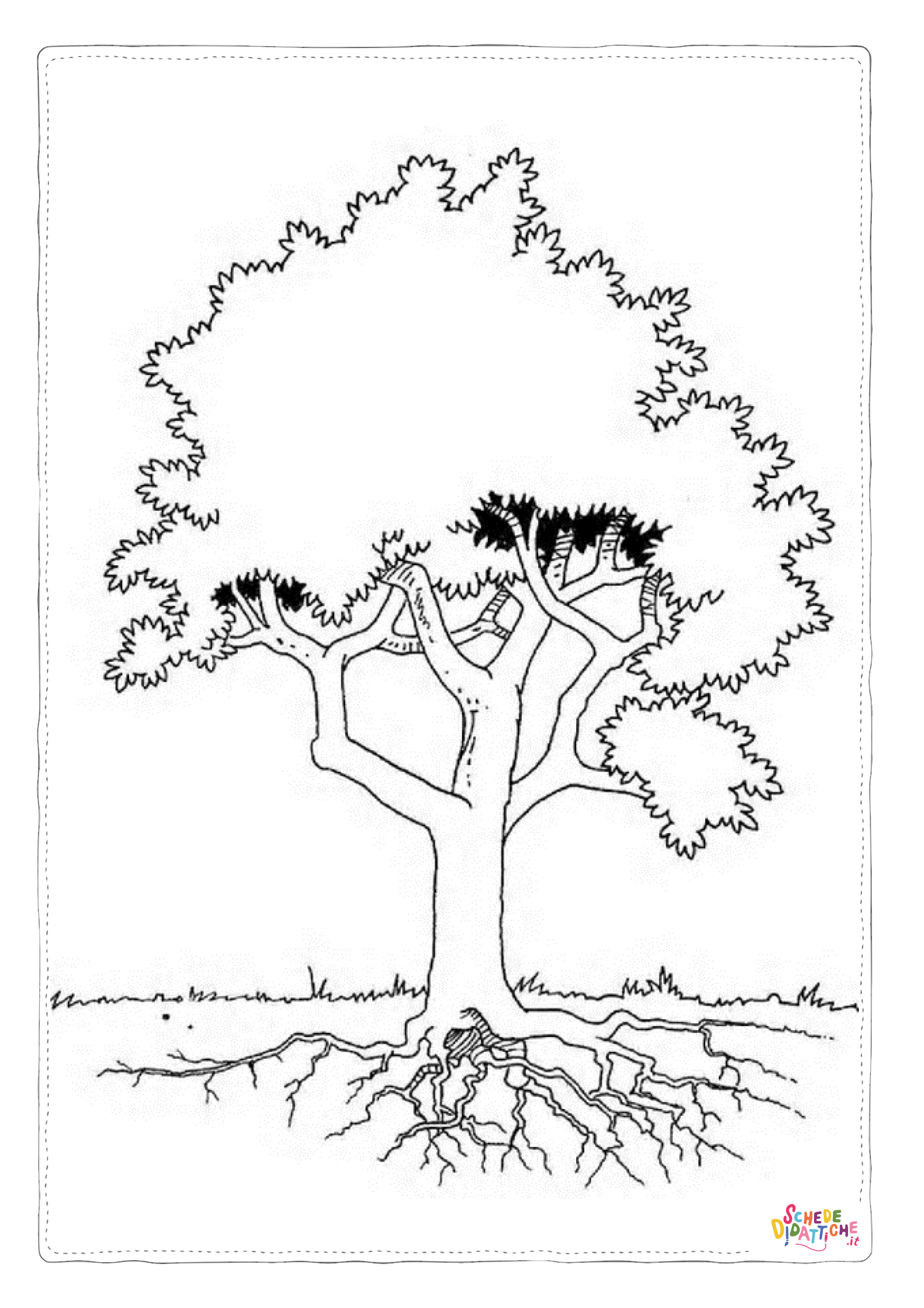 Disegno di albero da stampare e colorare 46