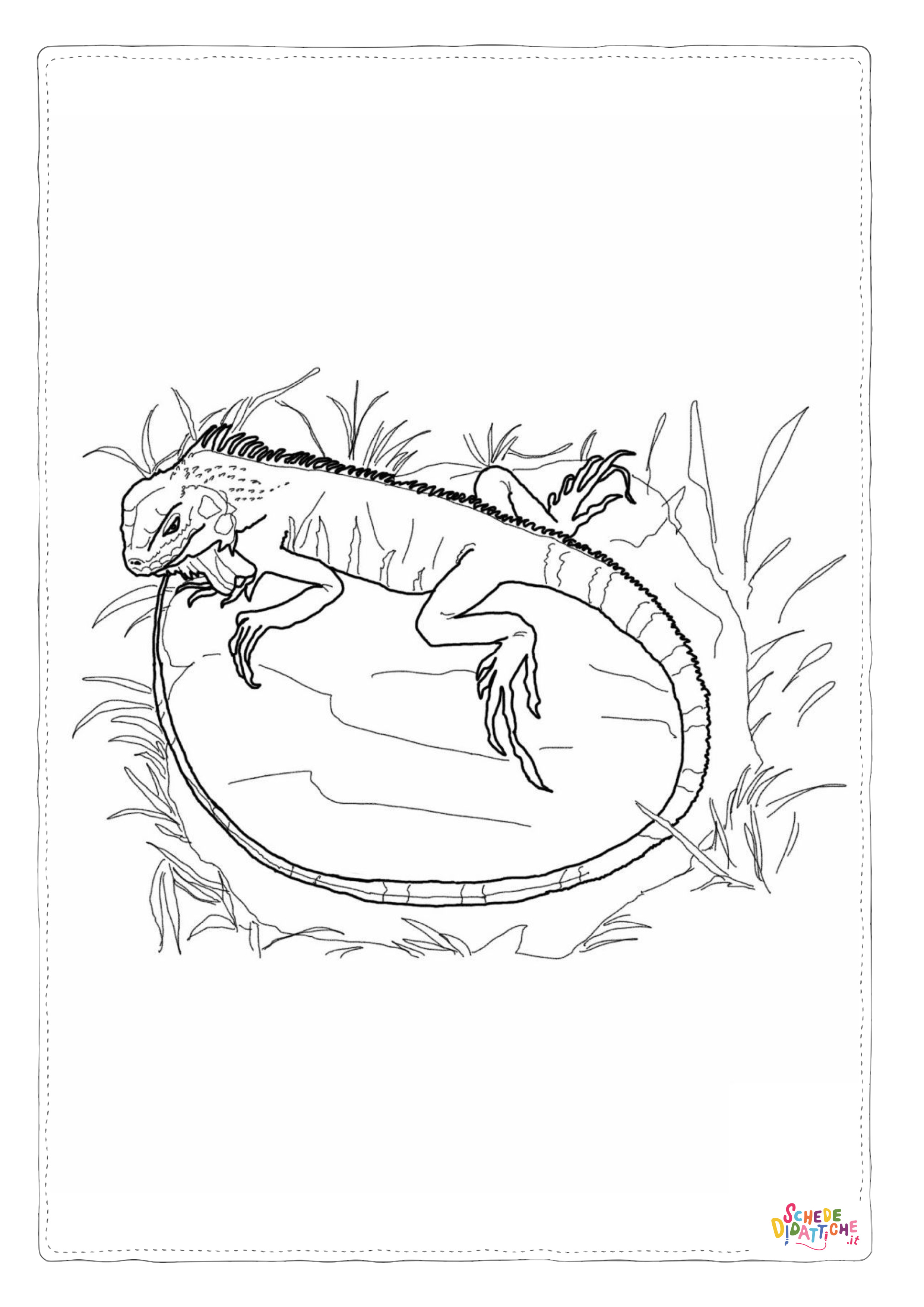 Disegno di iguana da stampare e colorare 19