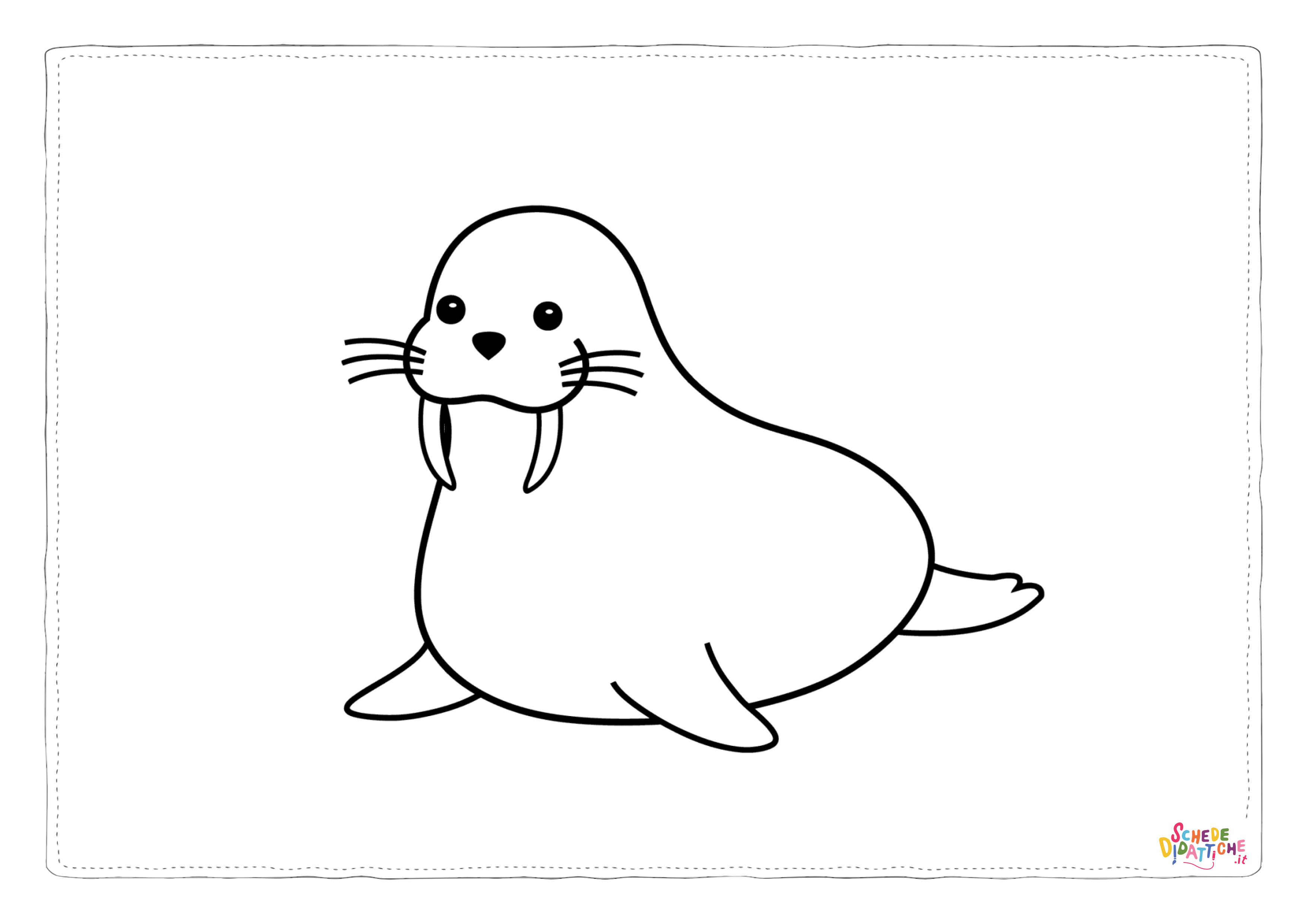 Disegno "Disegno di tricheco da stampare e colorare 5" Disegno di tricheco da stampare e colorare 5