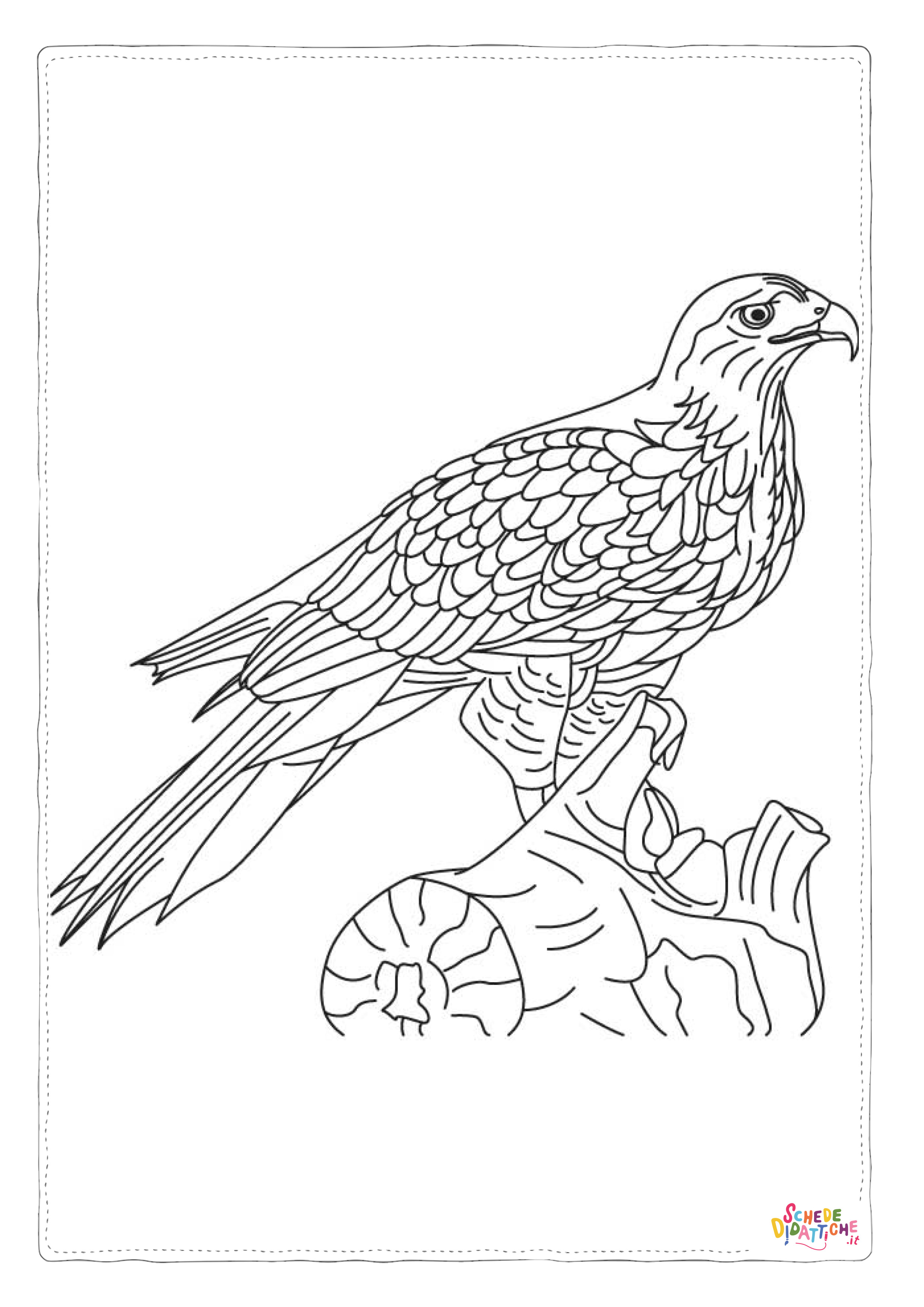 Disegno "Disegno di aquila da stampare e colorare 33" Disegno di aquila da stampare e colorare 33