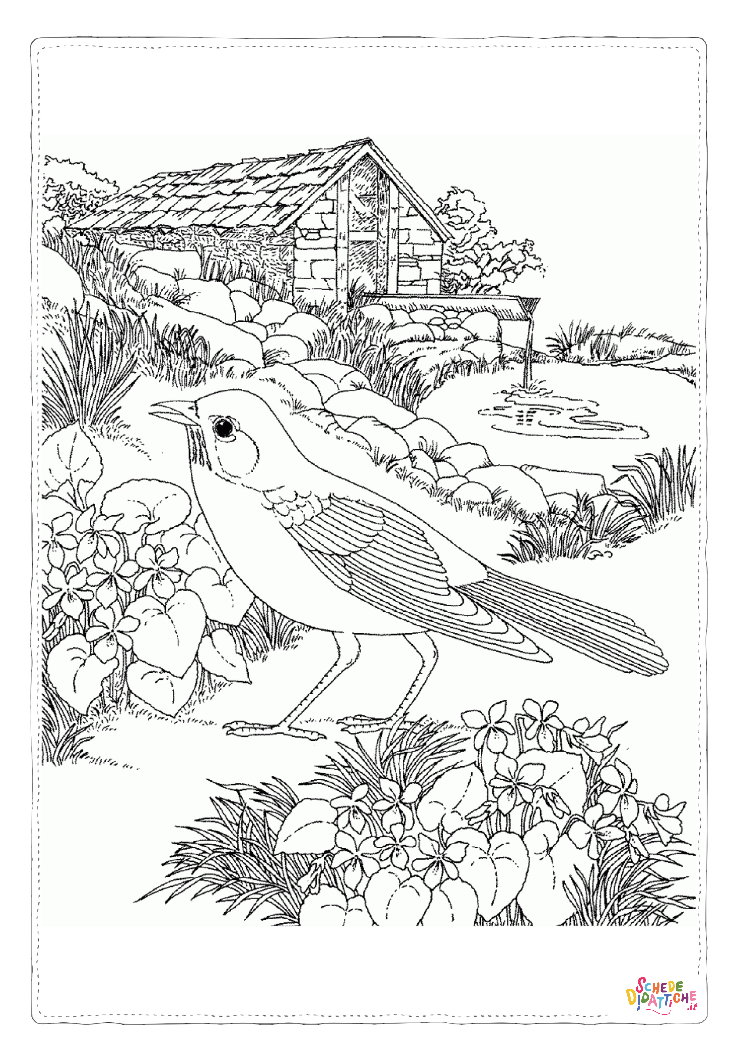 Disegno "Disegno di passero da stampare e colorare 12" Disegno di passero da stampare e colorare 12