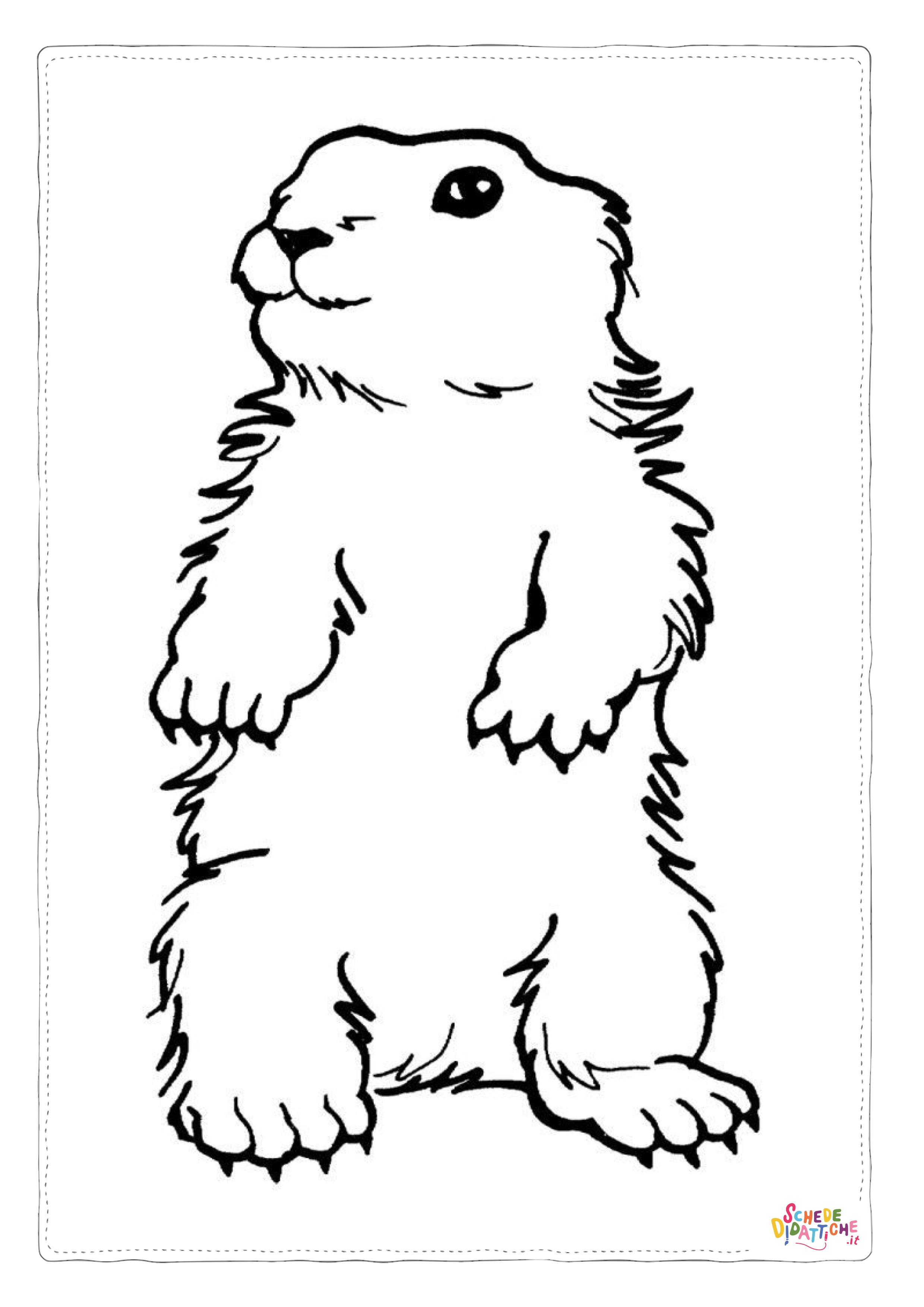 Disegno "Disegno di marmotta da stampare e colorare 4" Disegno di marmotta da stampare e colorare 4