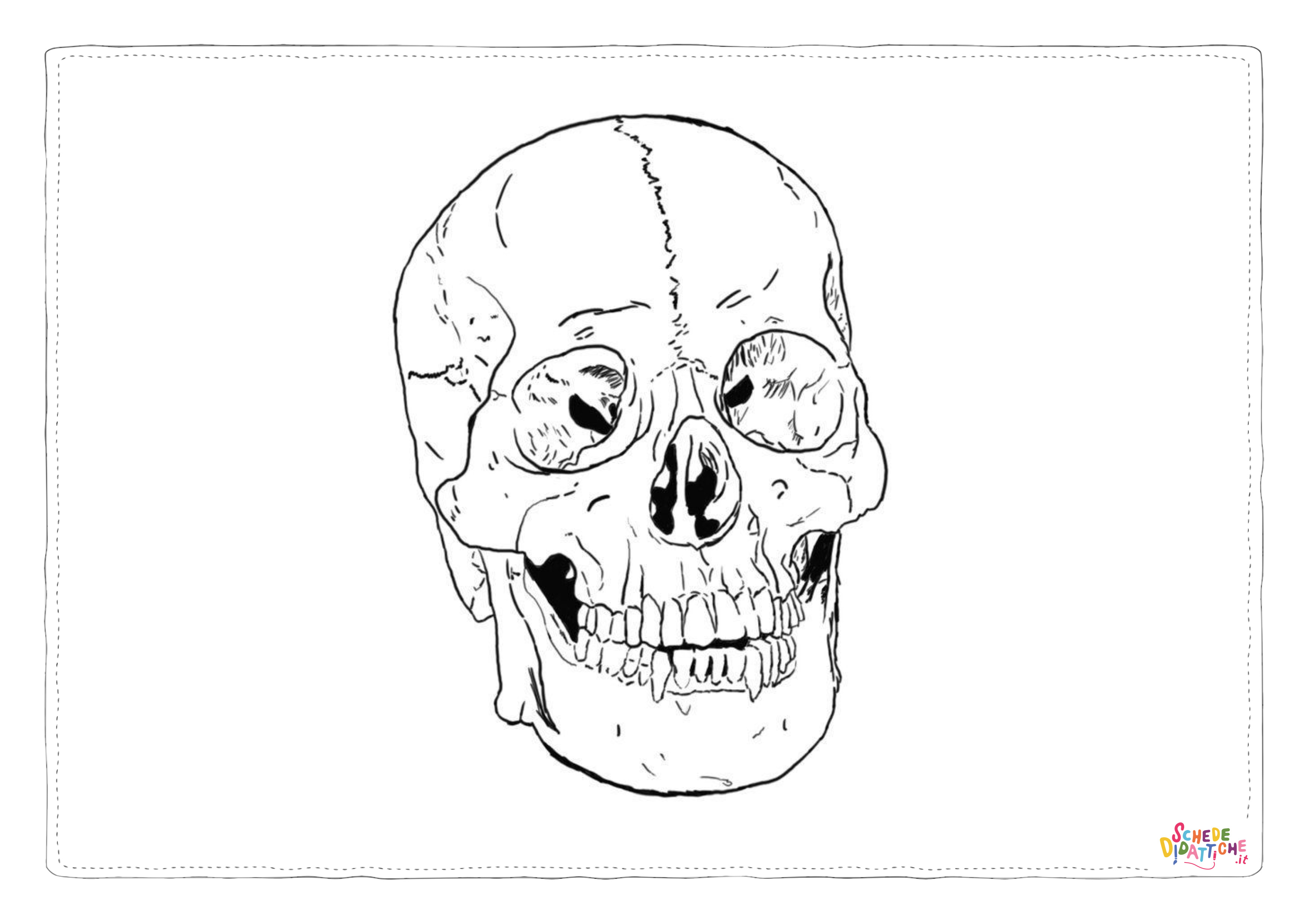 Disegno di teschio e scheletro da stampare e colorare 85