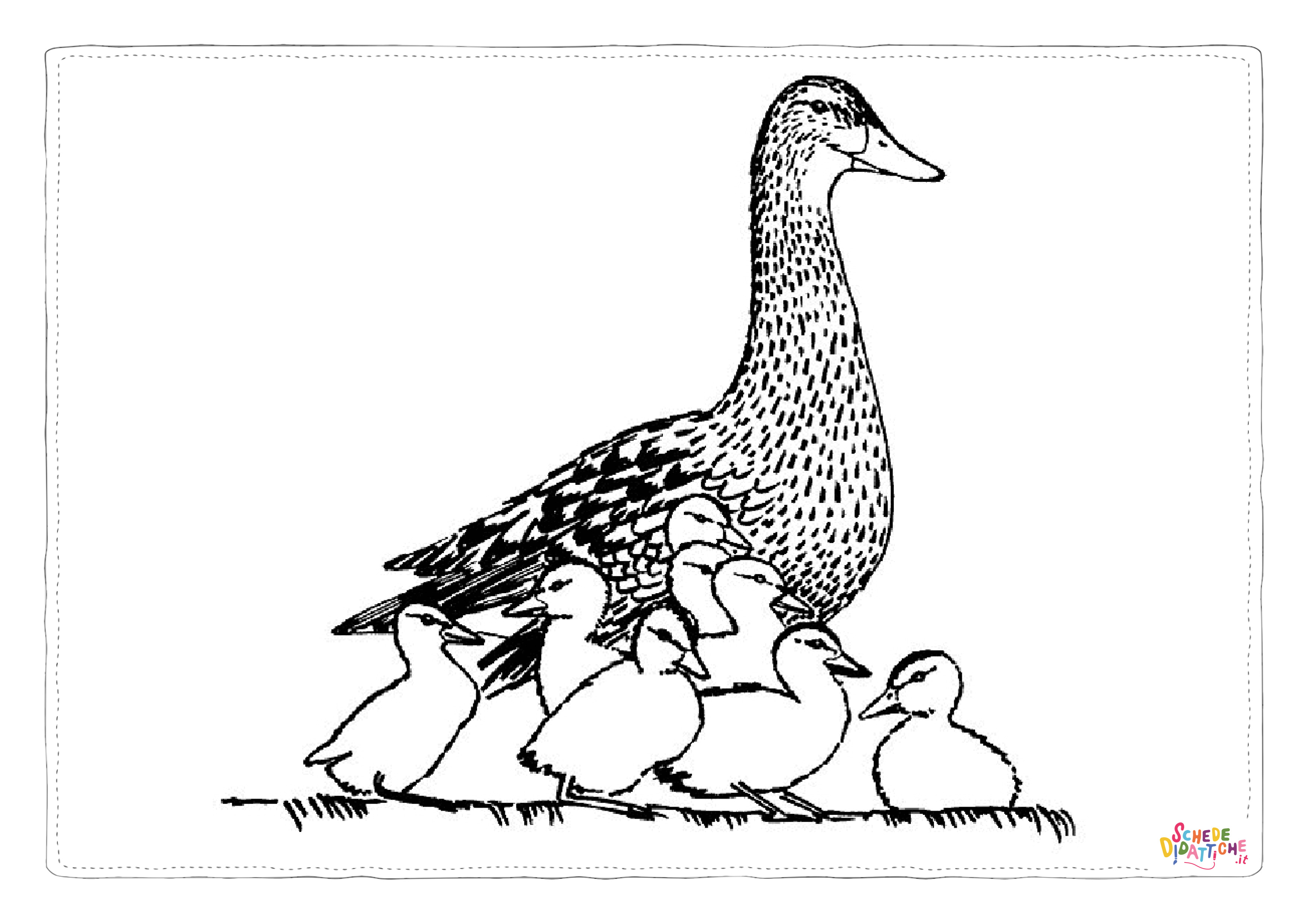 Disegno "Disegno di papera da stampare e colorare 28" Disegno di papera da stampare e colorare 28