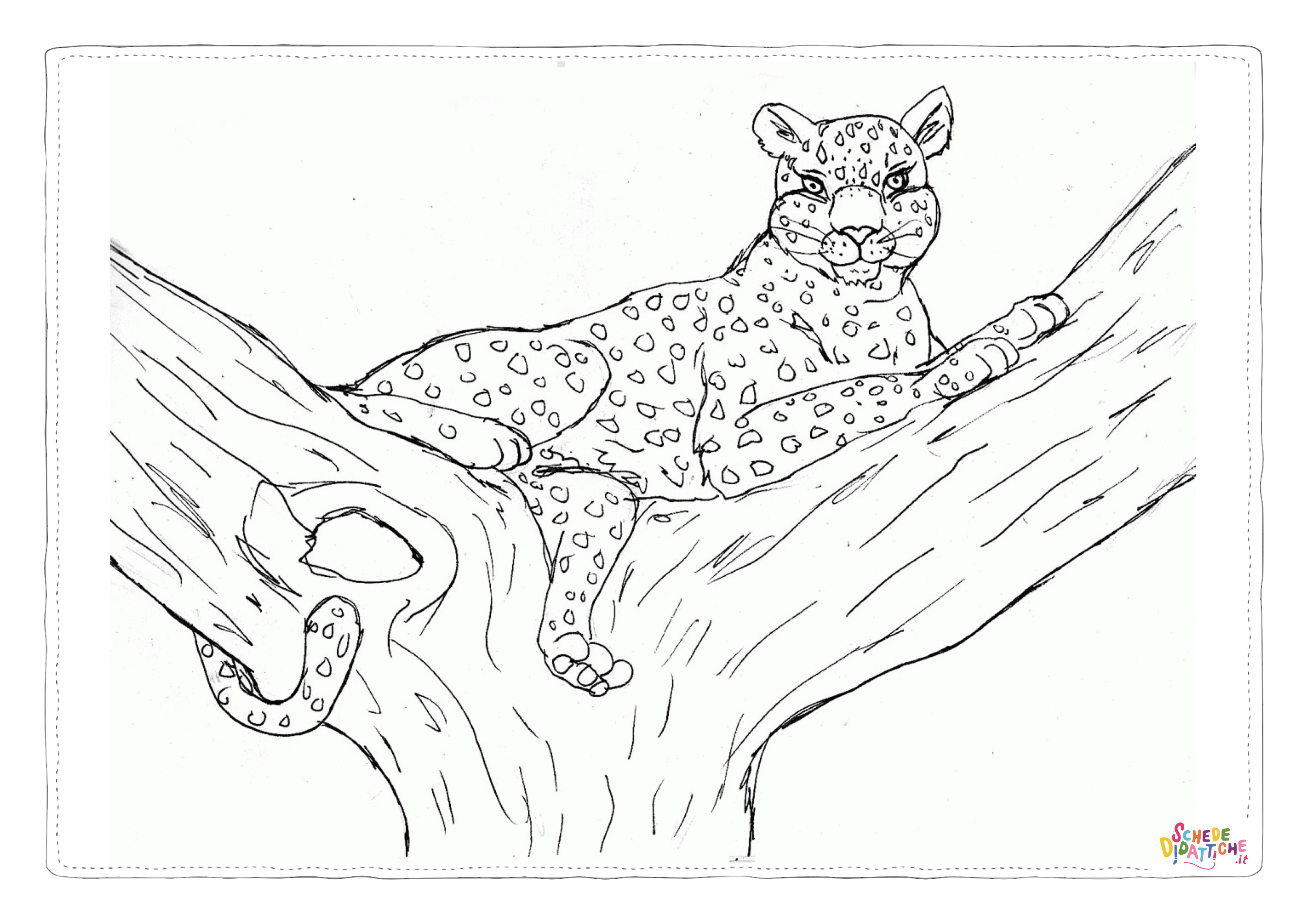 Disegno di leopardo da stampare e colorare