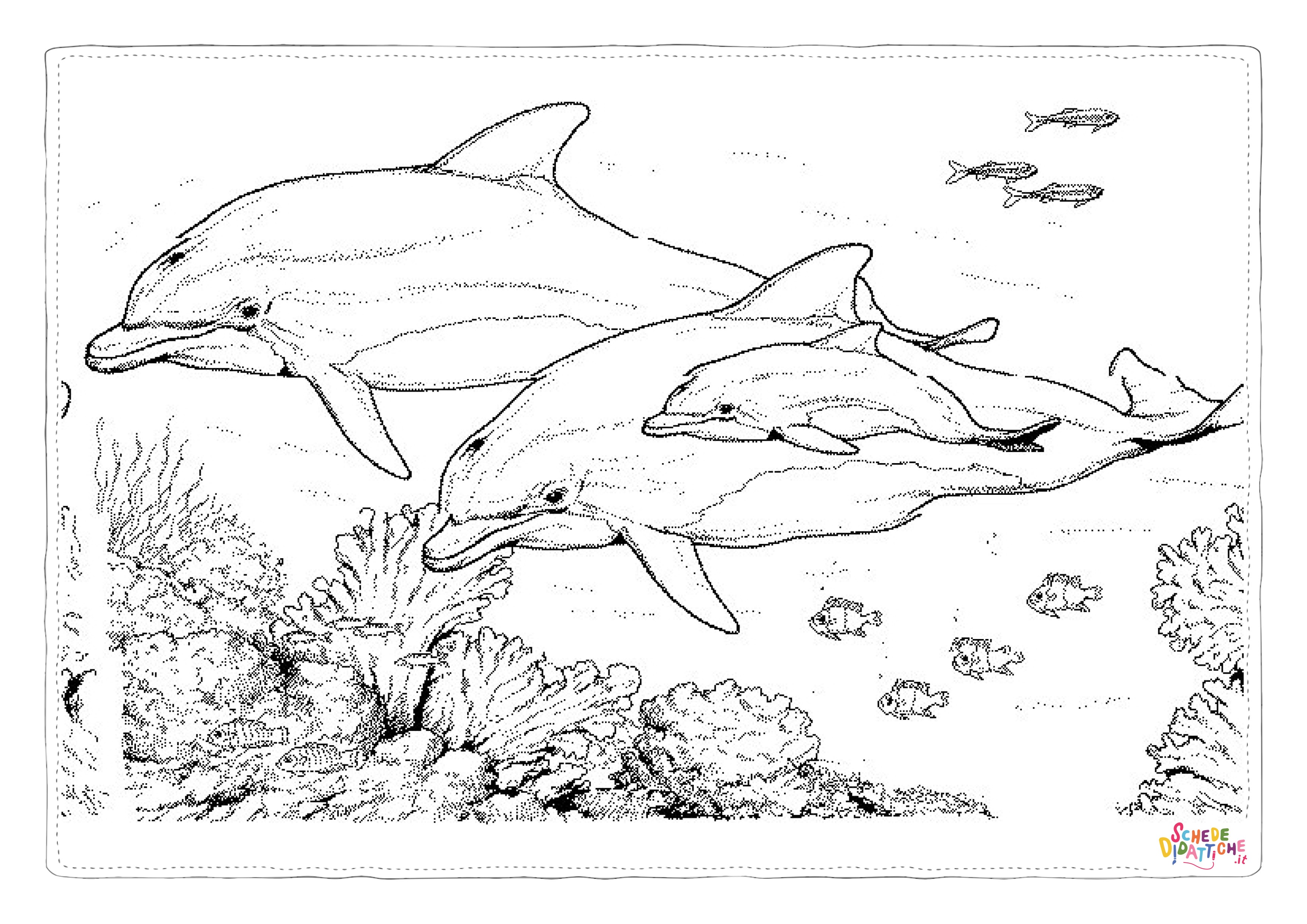 Disegno "Disegno di delfino da stampare e colorare 44" Disegno di delfino da stampare e colorare 44