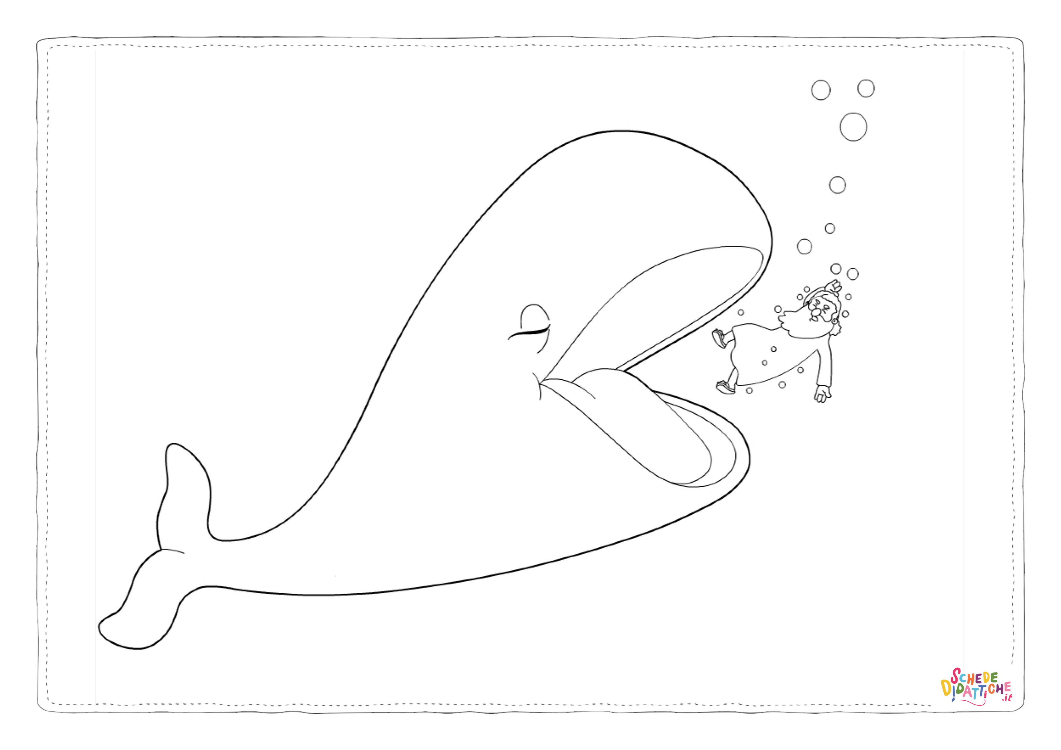 Disegno di balena da stampare e colorare 21