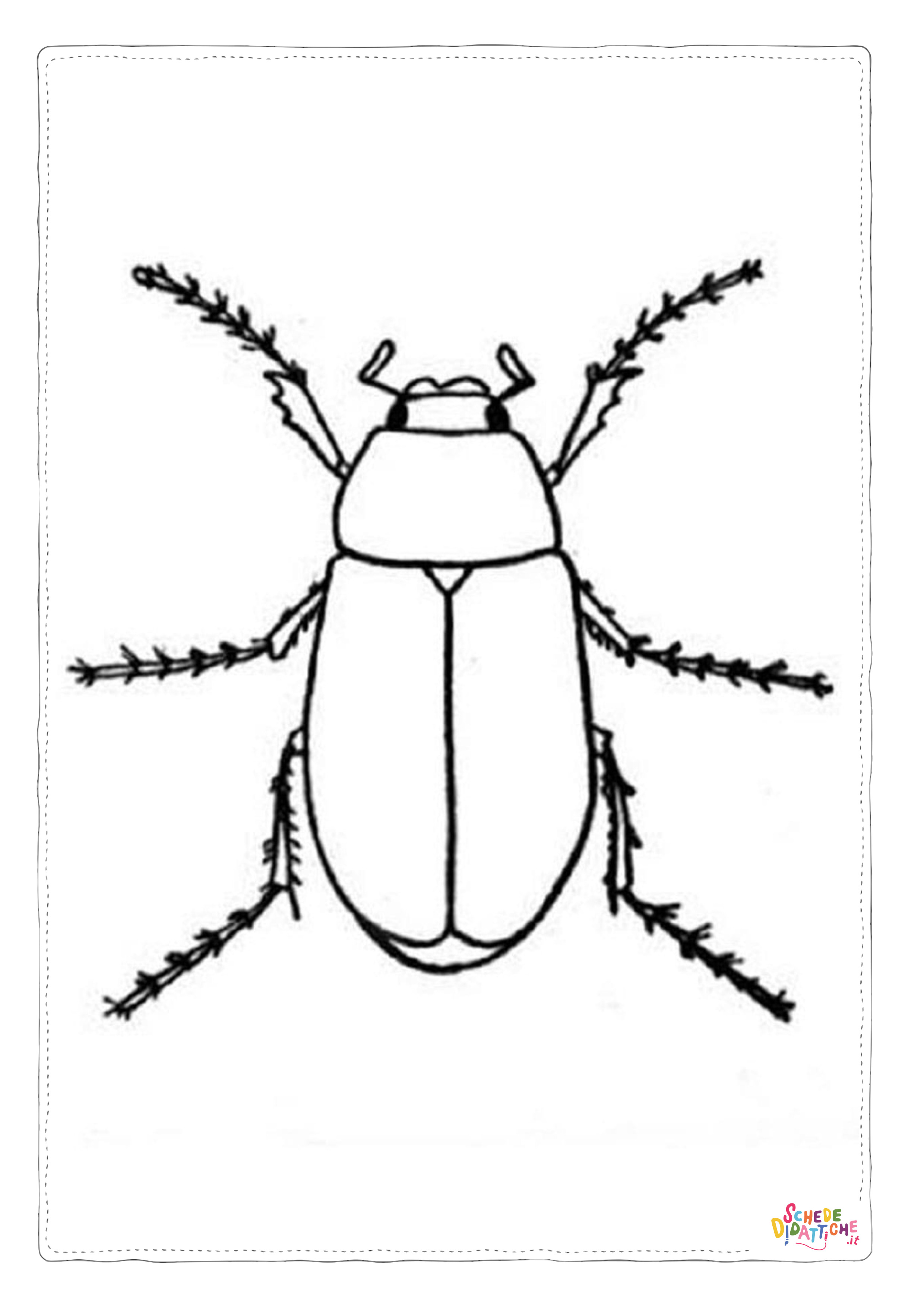 Disegno di coleottero da stampare e colorare 8