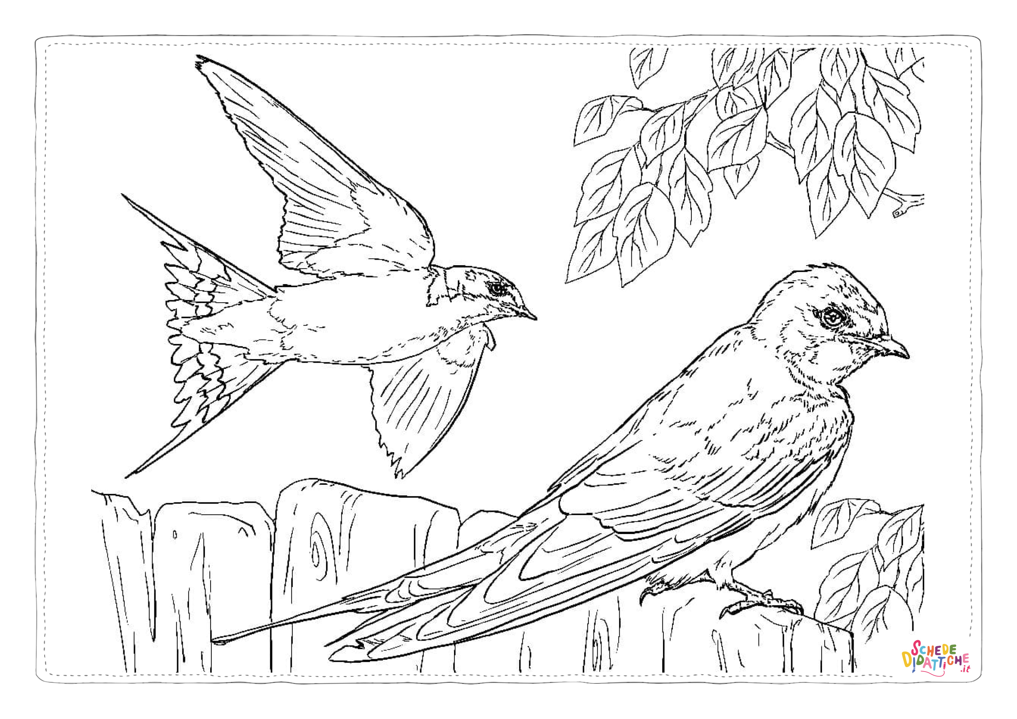 Disegno "Disegno di uccello da stampare e colorare 2" Disegno di uccello da stampare e colorare 2