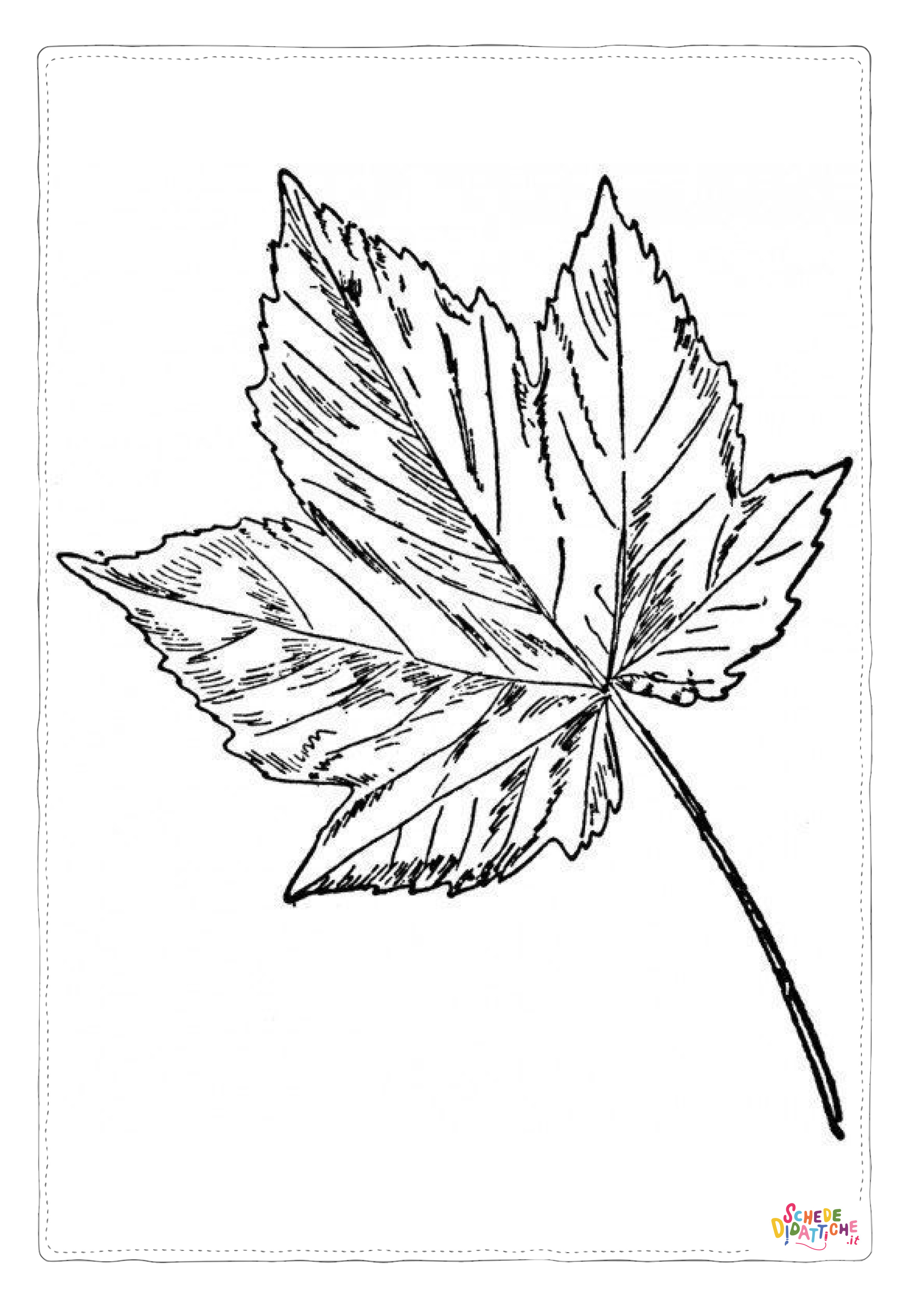 Disegno "Disegno di foglia da stampare e colorare 25" Disegno di foglia da stampare e colorare 25