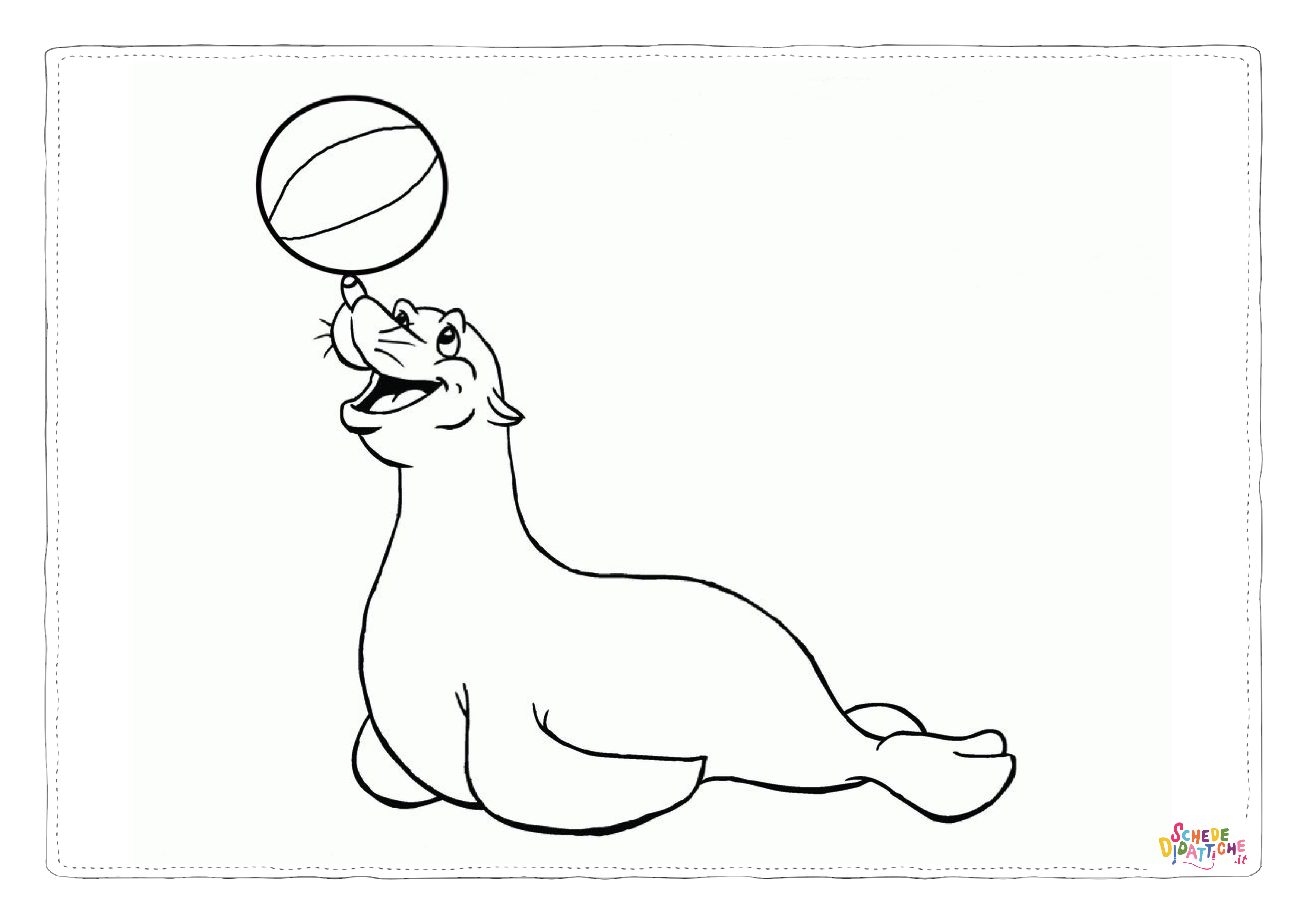 Disegno di foca da stampare e colorare 2