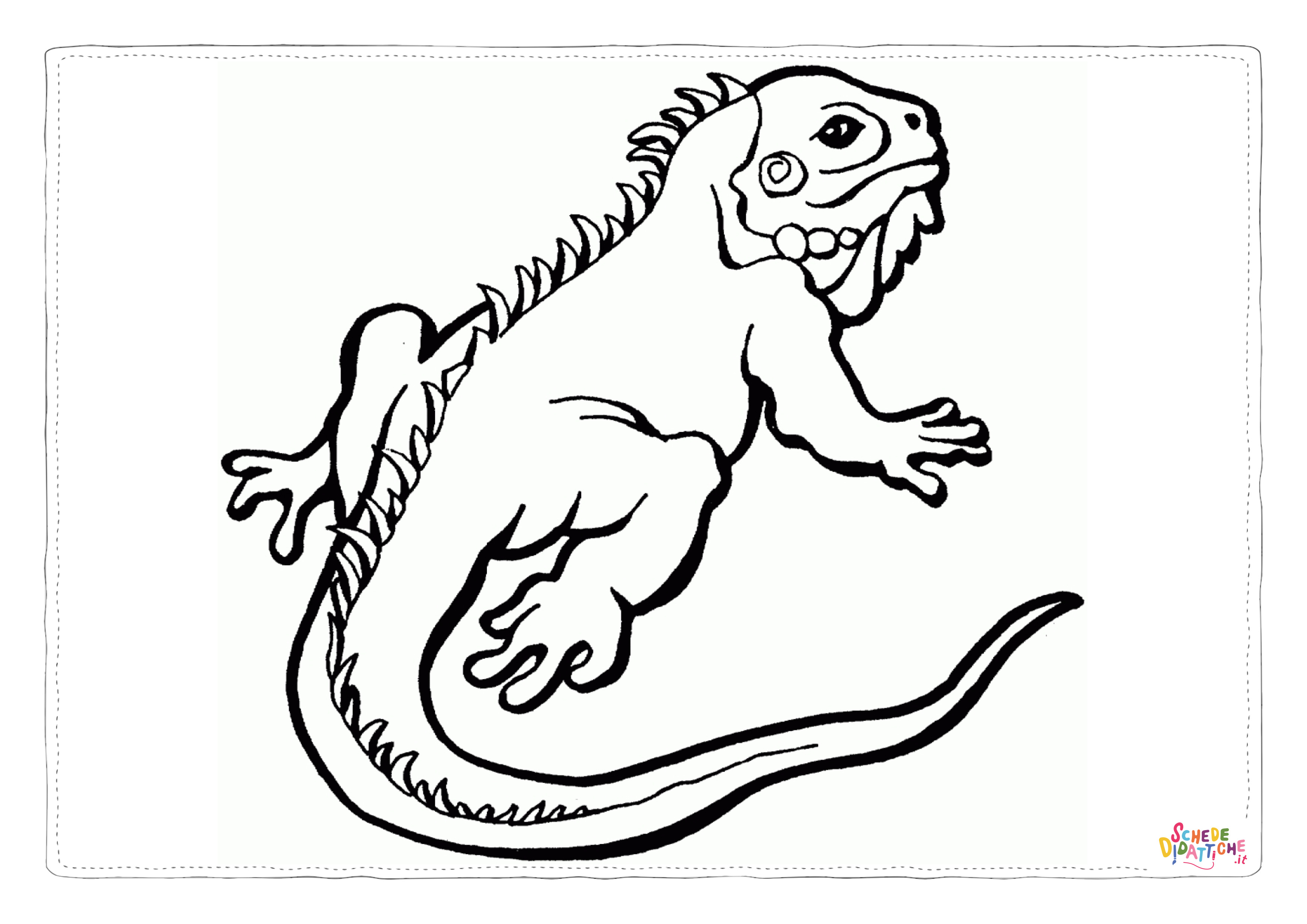 Disegno di iguana da stampare e colorare 3