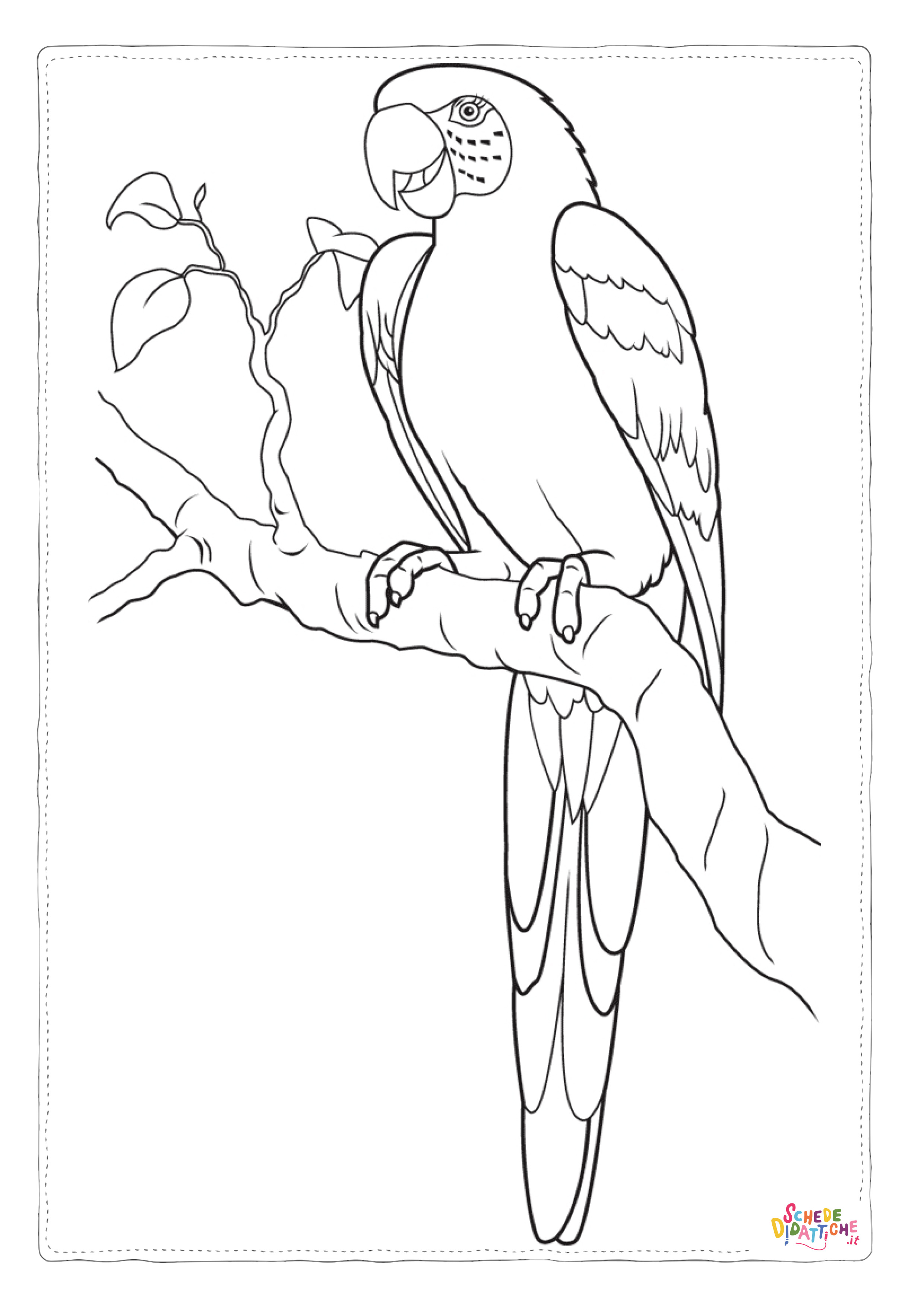 Disegno "Disegno di pappagallo da stampare e colorare 31" Disegno di pappagallo da stampare e colorare 31