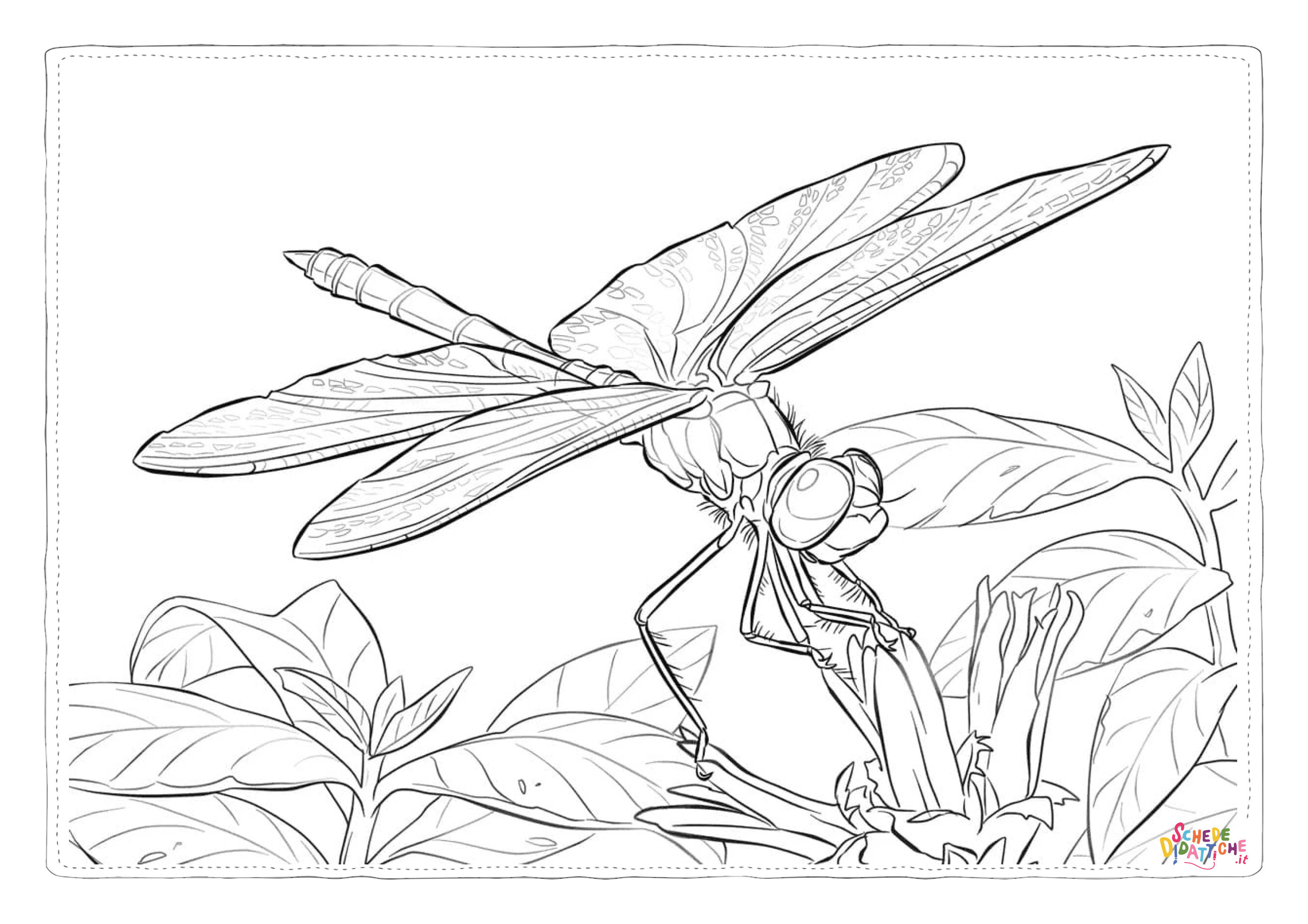 Disegno di libellula da stampare e colorare 32