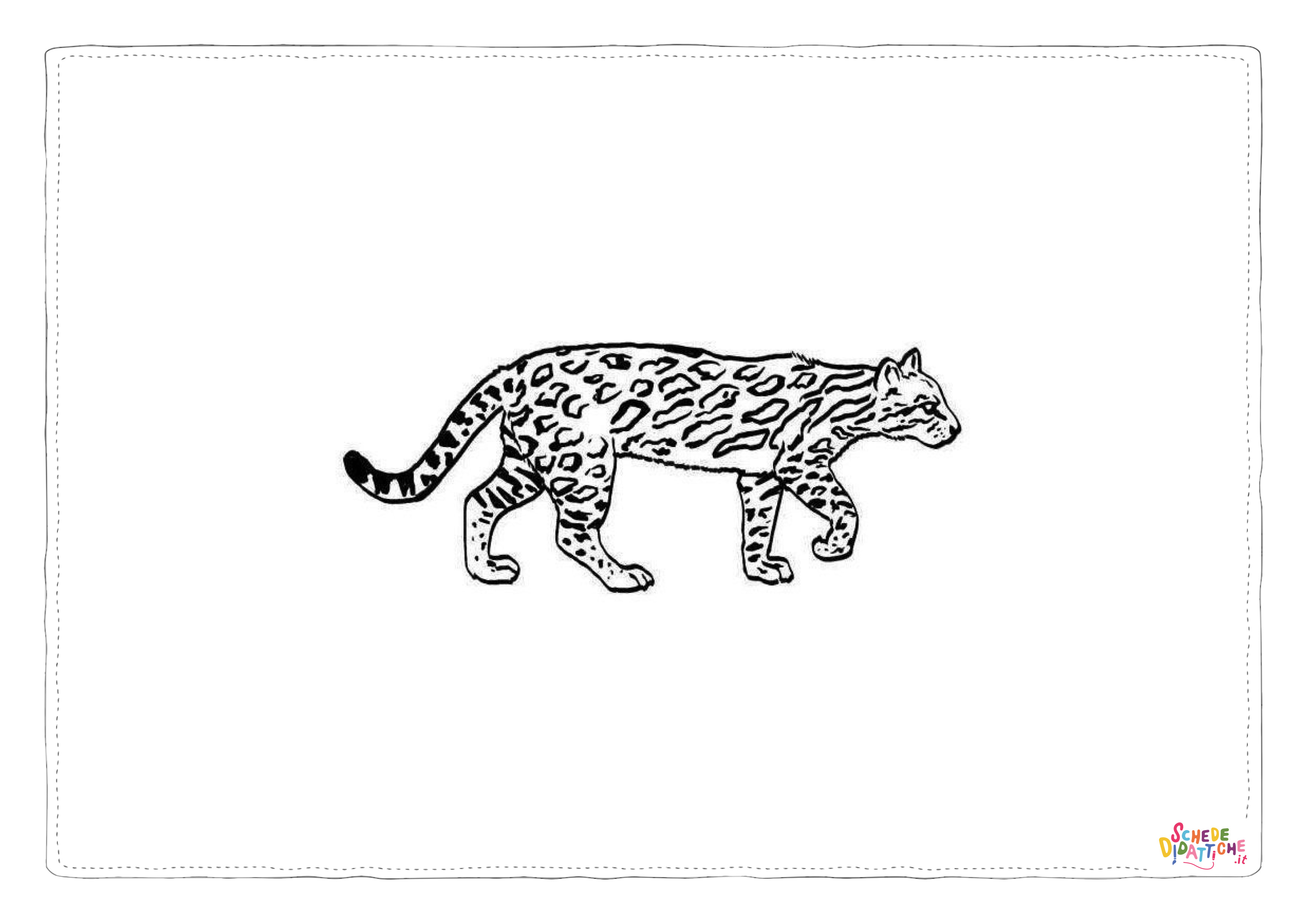 Disegno "Disegno di leopardo da stampare e colorare 54" Disegno di leopardo da stampare e colorare 54