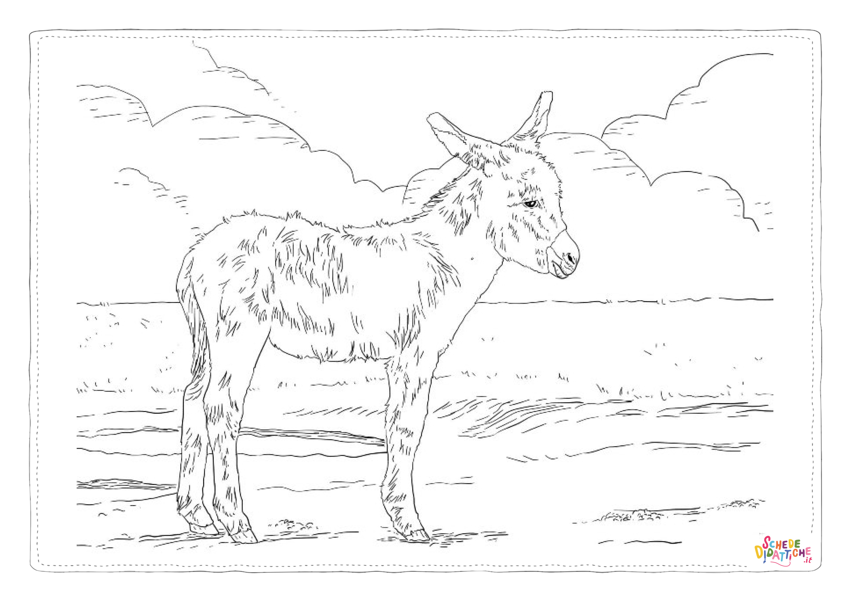 Disegno "Disegno di asino da stampare e colorare 13" Disegno di asino da stampare e colorare 13