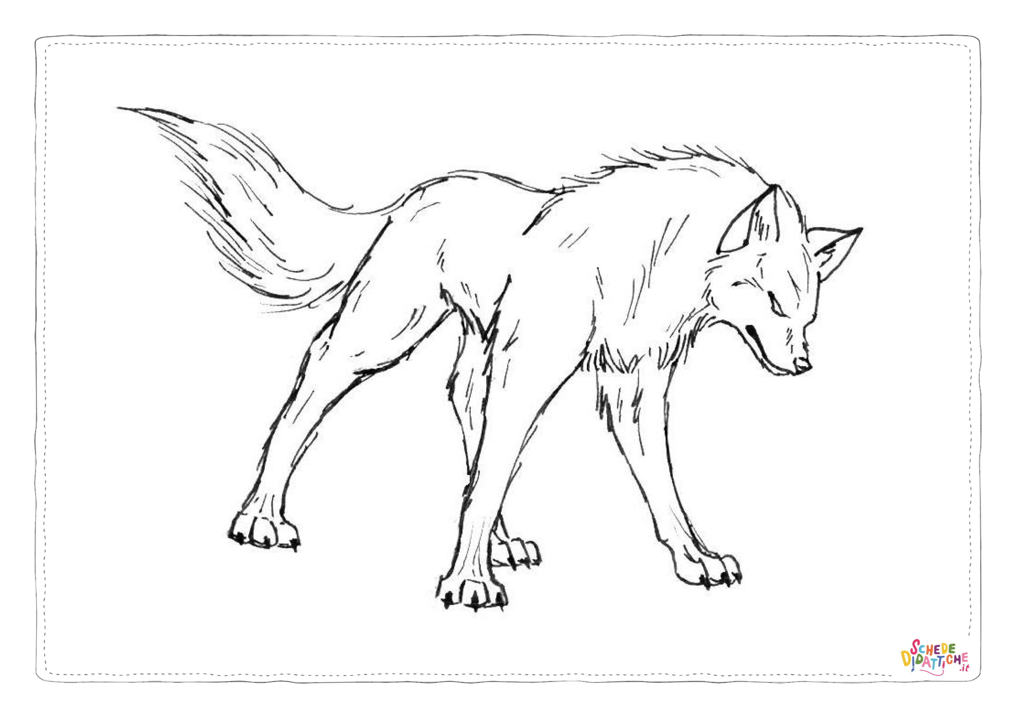 Disegno di lupo da stampare e colorare 28