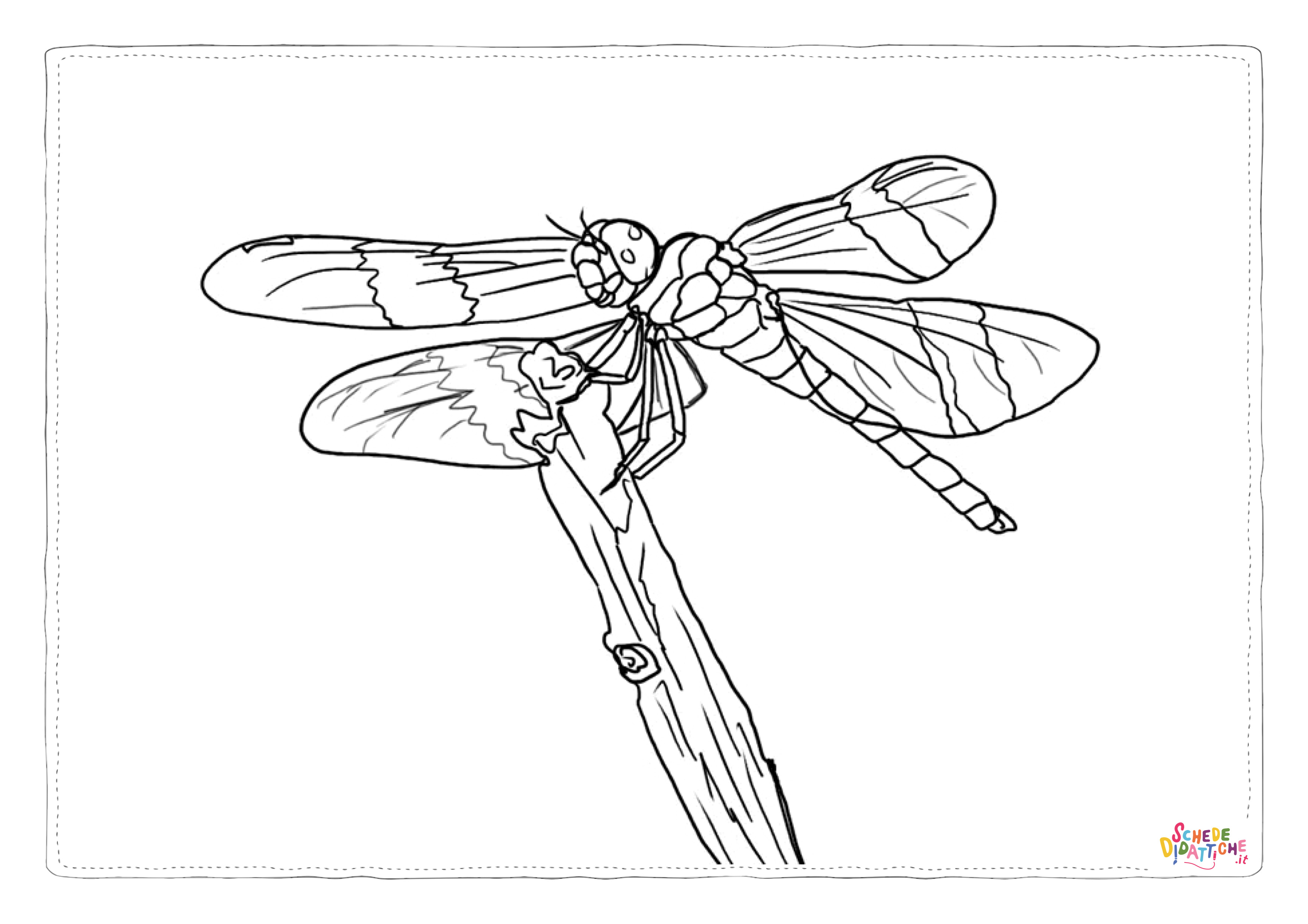 Disegno di libellula da stampare e colorare 14