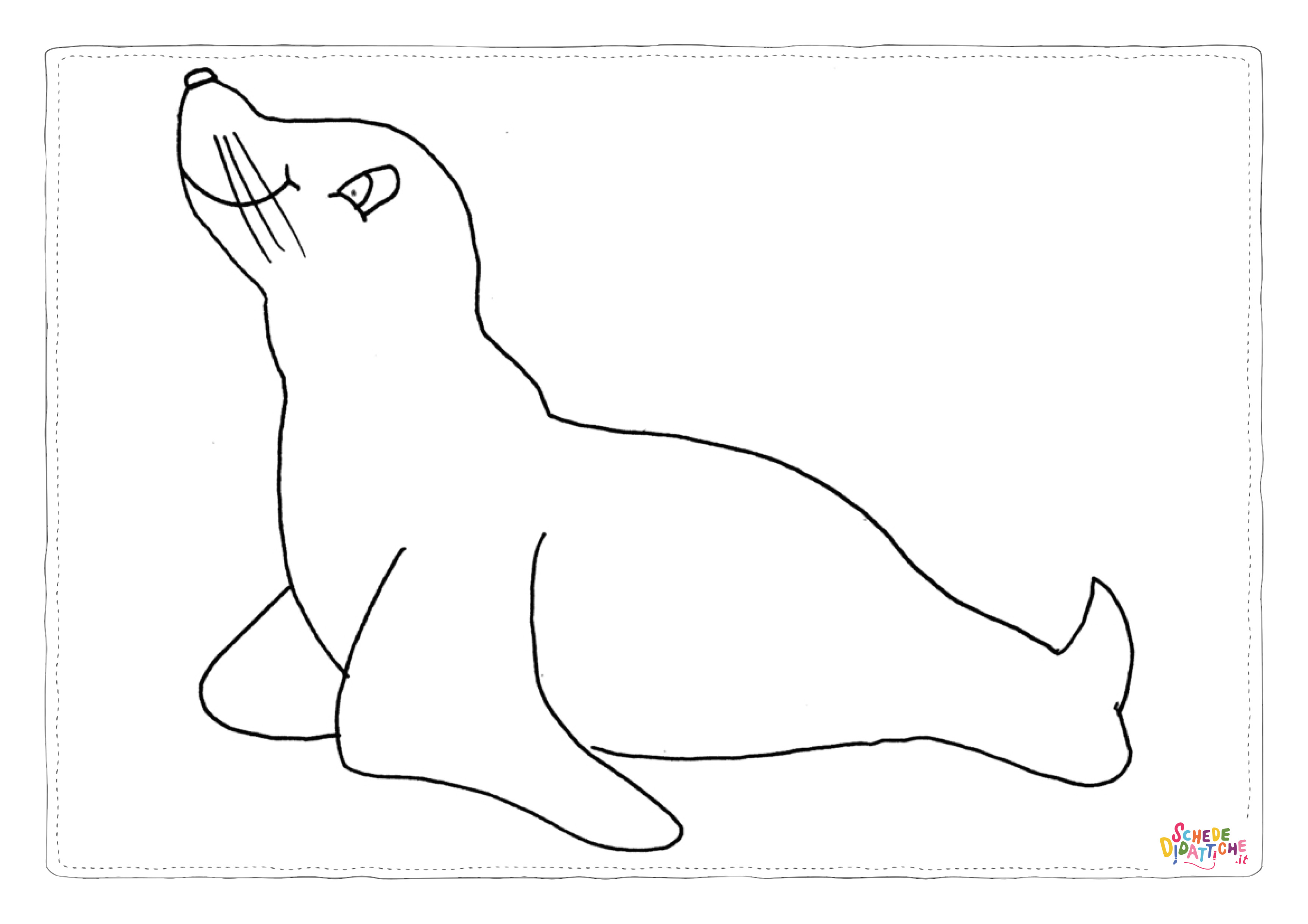 Disegno "Disegno di foca da stampare e colorare 24" Disegno di foca da stampare e colorare 24