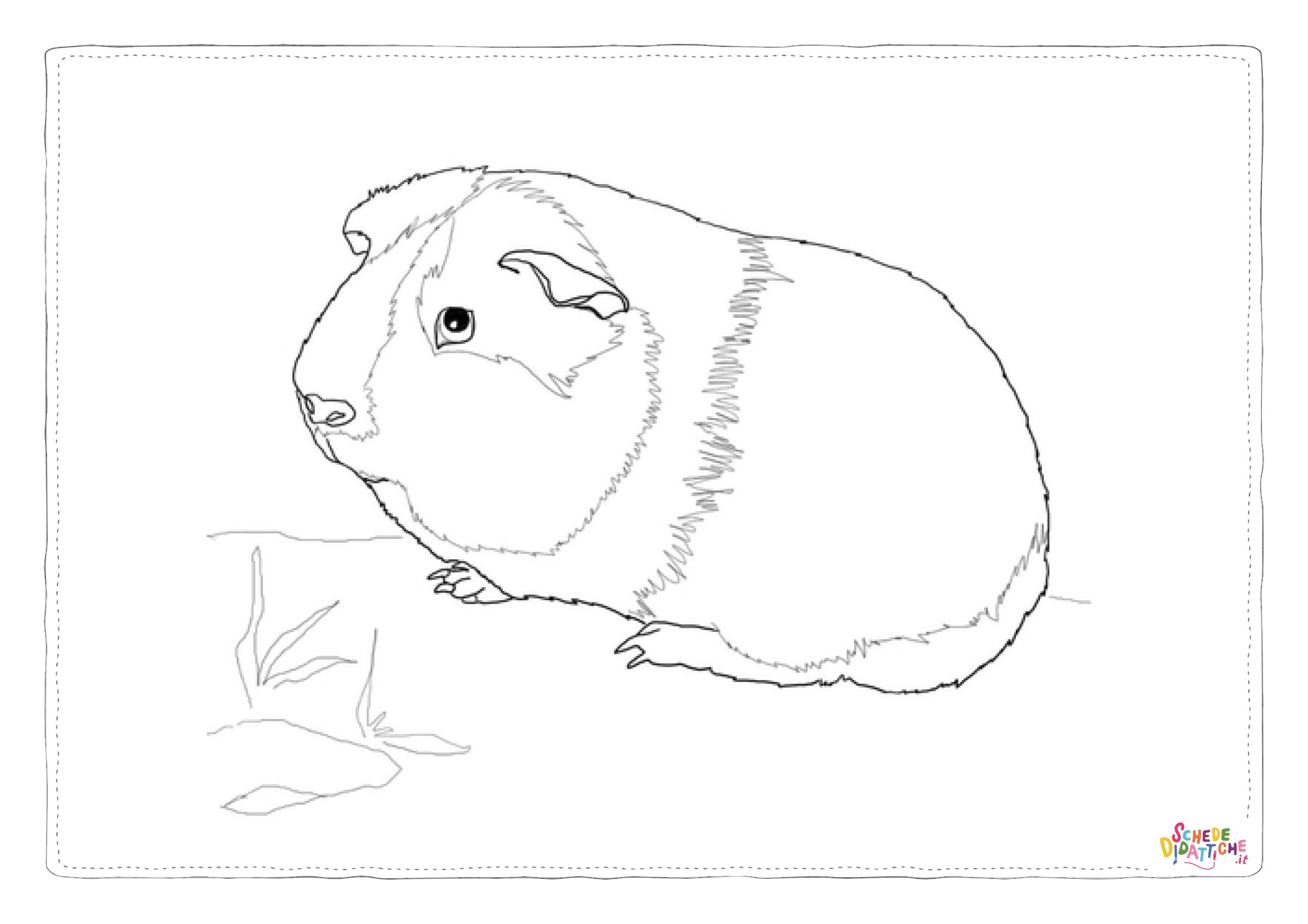 Disegno "Disegno di criceto da stampare e colorare 15" Disegno di criceto da stampare e colorare 15