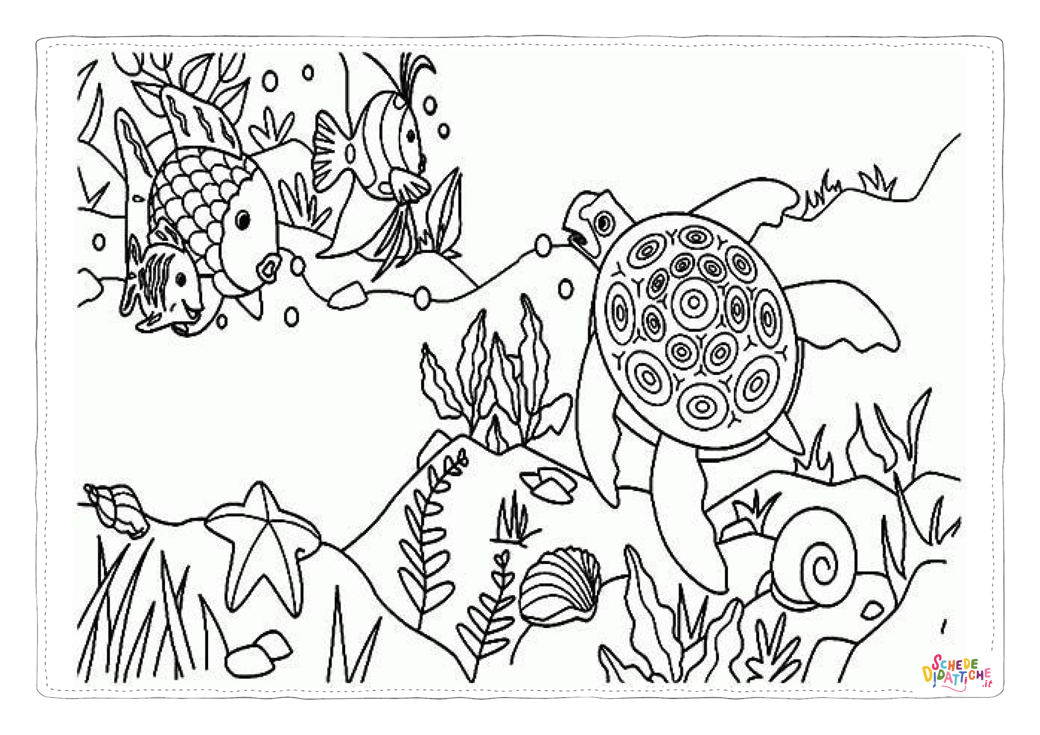 Disegno "Disegno di tartaruga di mare da stampare e colorare" Disegno di tartaruga di mare da stampare e colorare