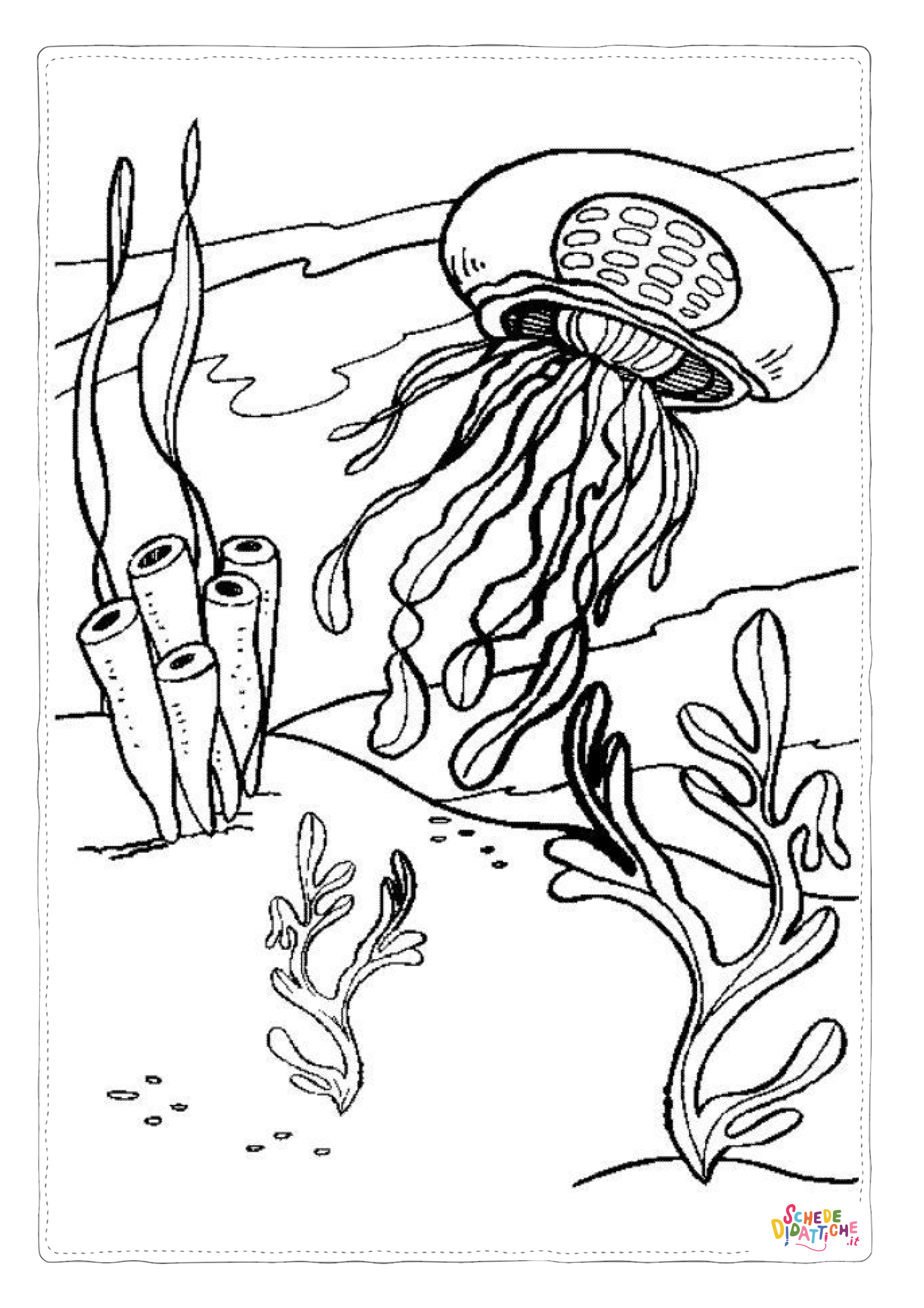 Disegno "Disegno di medusa da stampare e colorare 10" Disegno di medusa da stampare e colorare 10