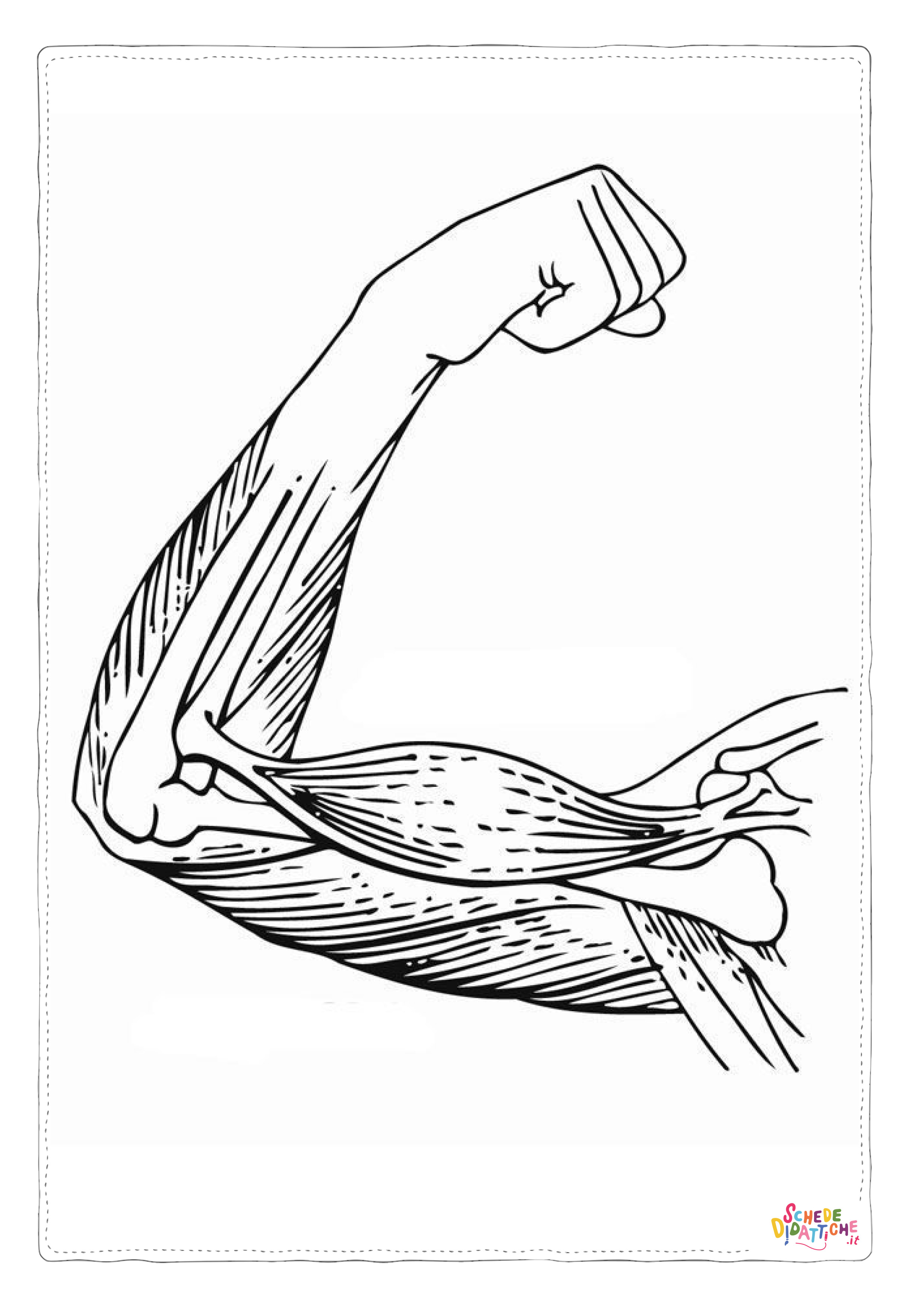 Disegno di parti del corpo da stampare e colorare 19