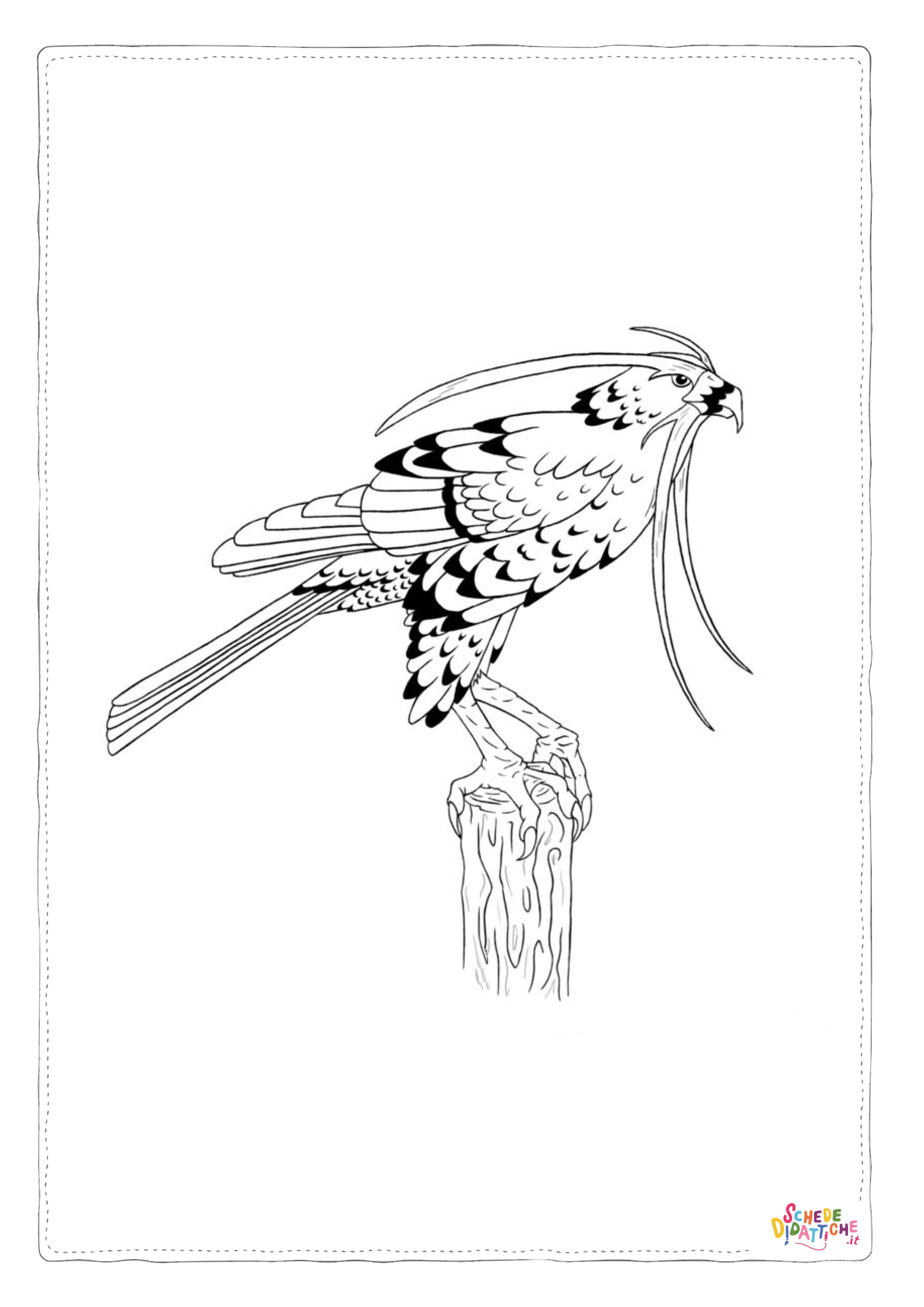 Disegno "Disegno di uccello da stampare e colorare 34" Disegno di uccello da stampare e colorare 34