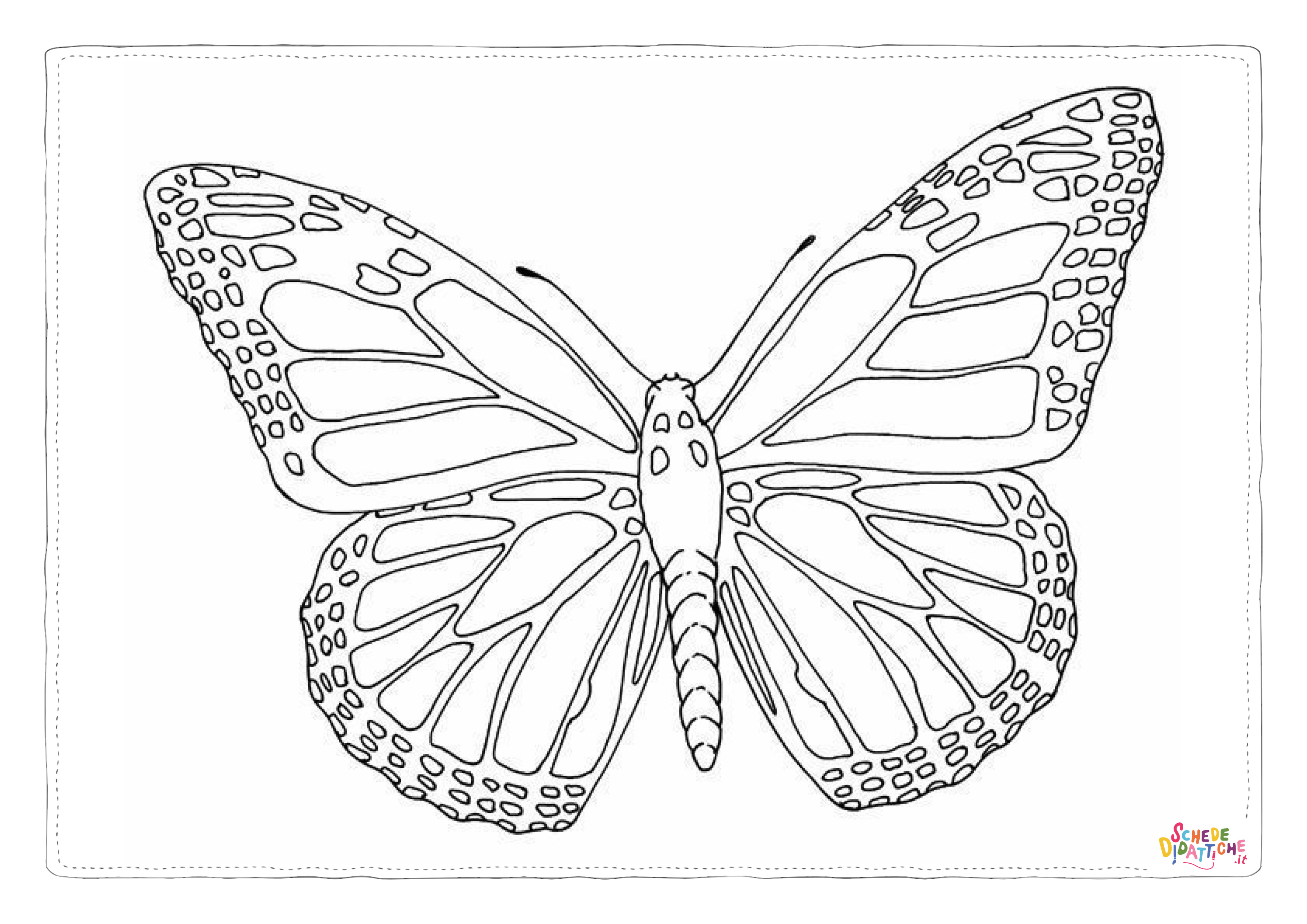 Disegno "Disegno di farfalla da stampare e colorare 24" Disegno di farfalla da stampare e colorare 24