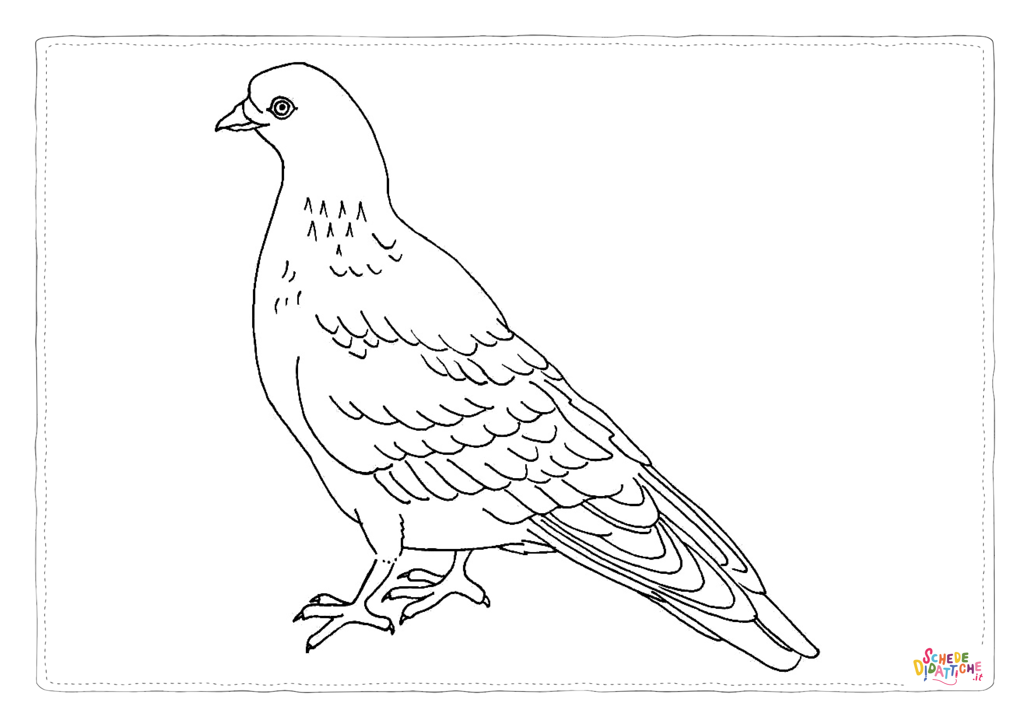 Disegno di colomba da stampare e colorare 19