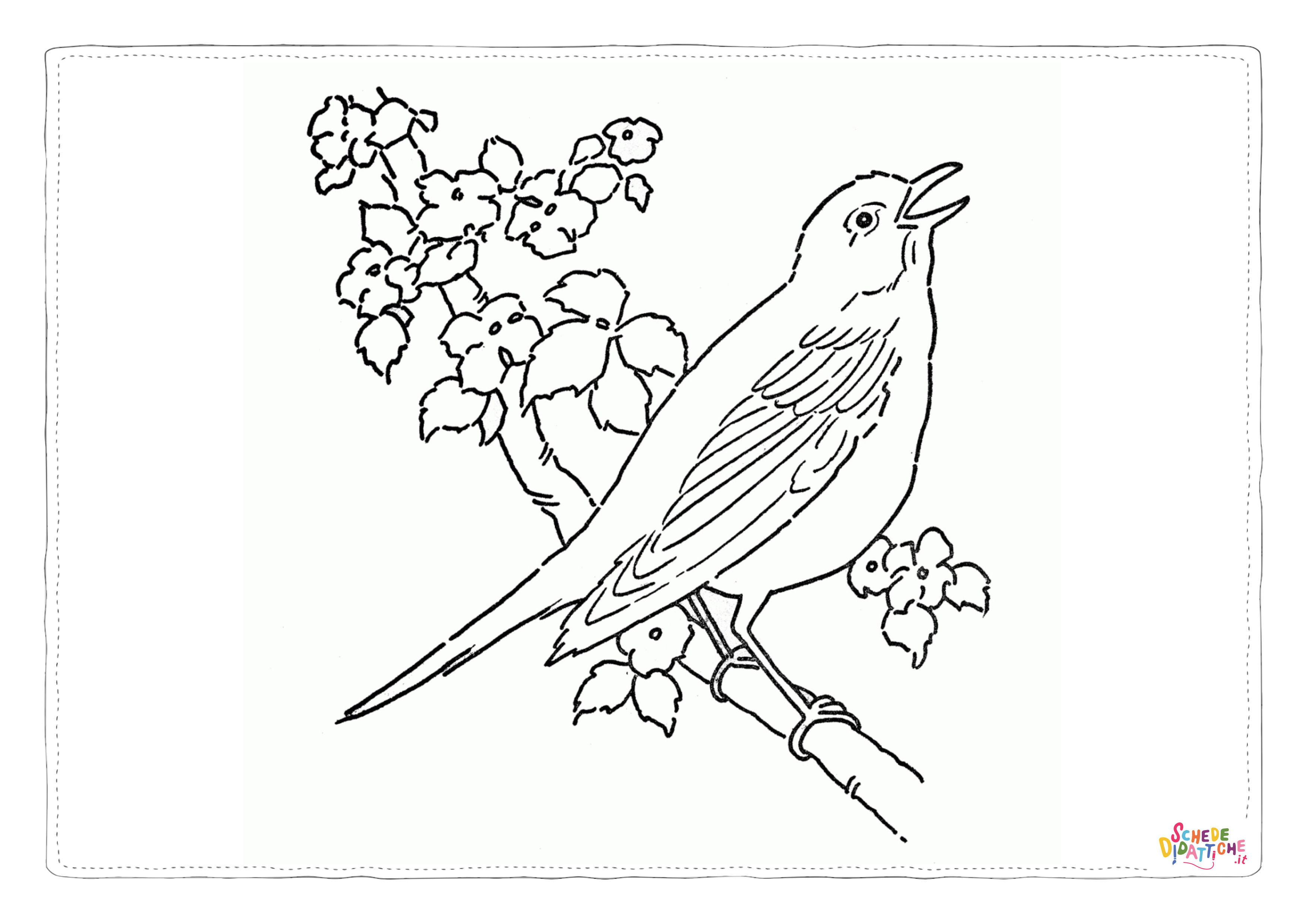 Disegno "Disegno di passero da stampare e colorare 65" Disegno di passero da stampare e colorare 65